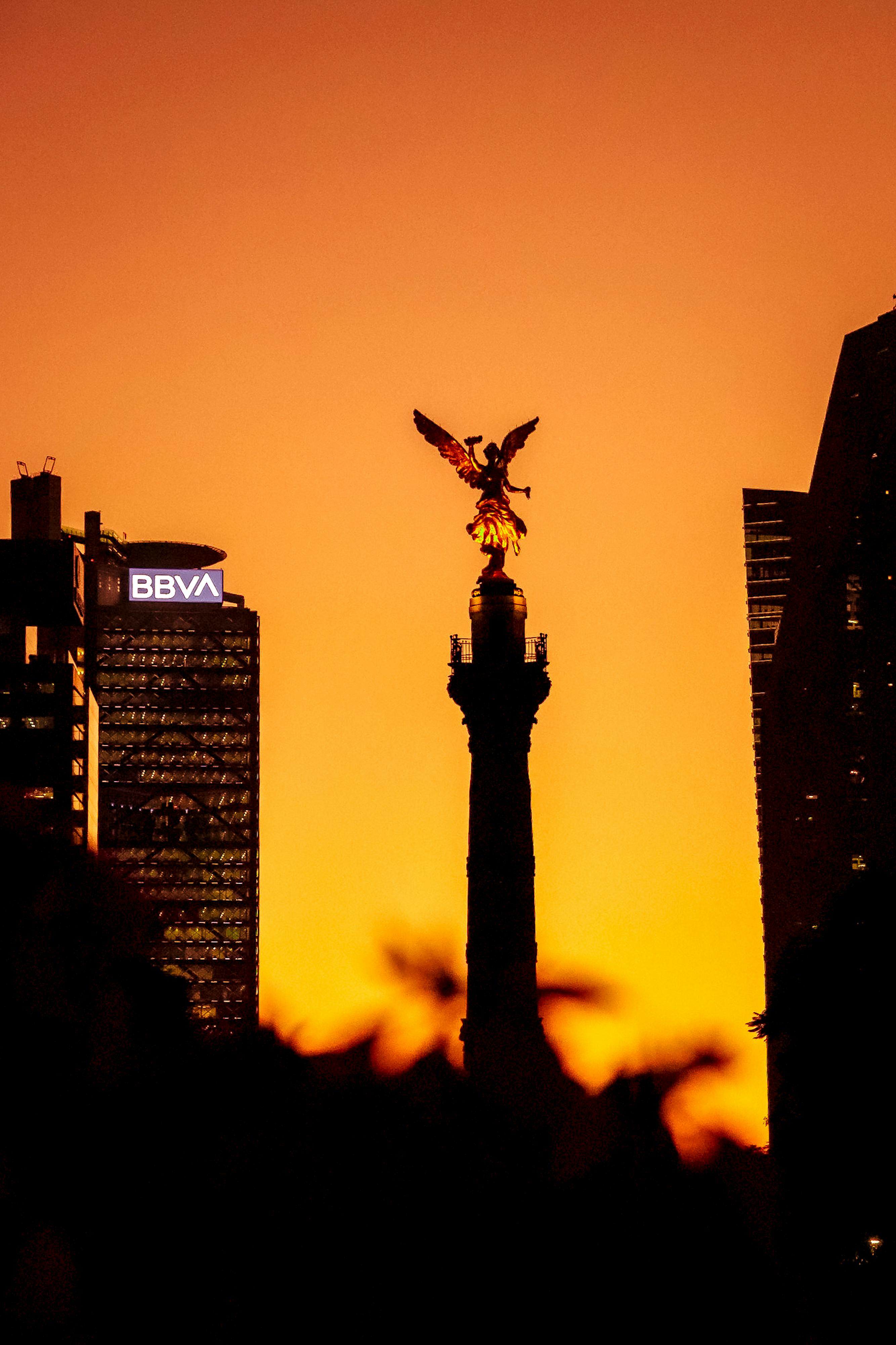 Atardecer de Hoy: Cómo la Ciencia Explica sus Vibrantes Colores