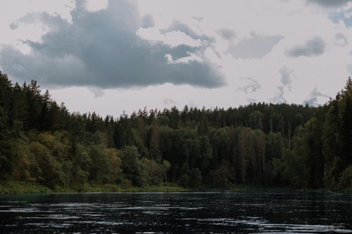 Free Tranquil forest lake surrounded by trees with a cloudy sky above. Perfect for nature lovers. Stock Photo