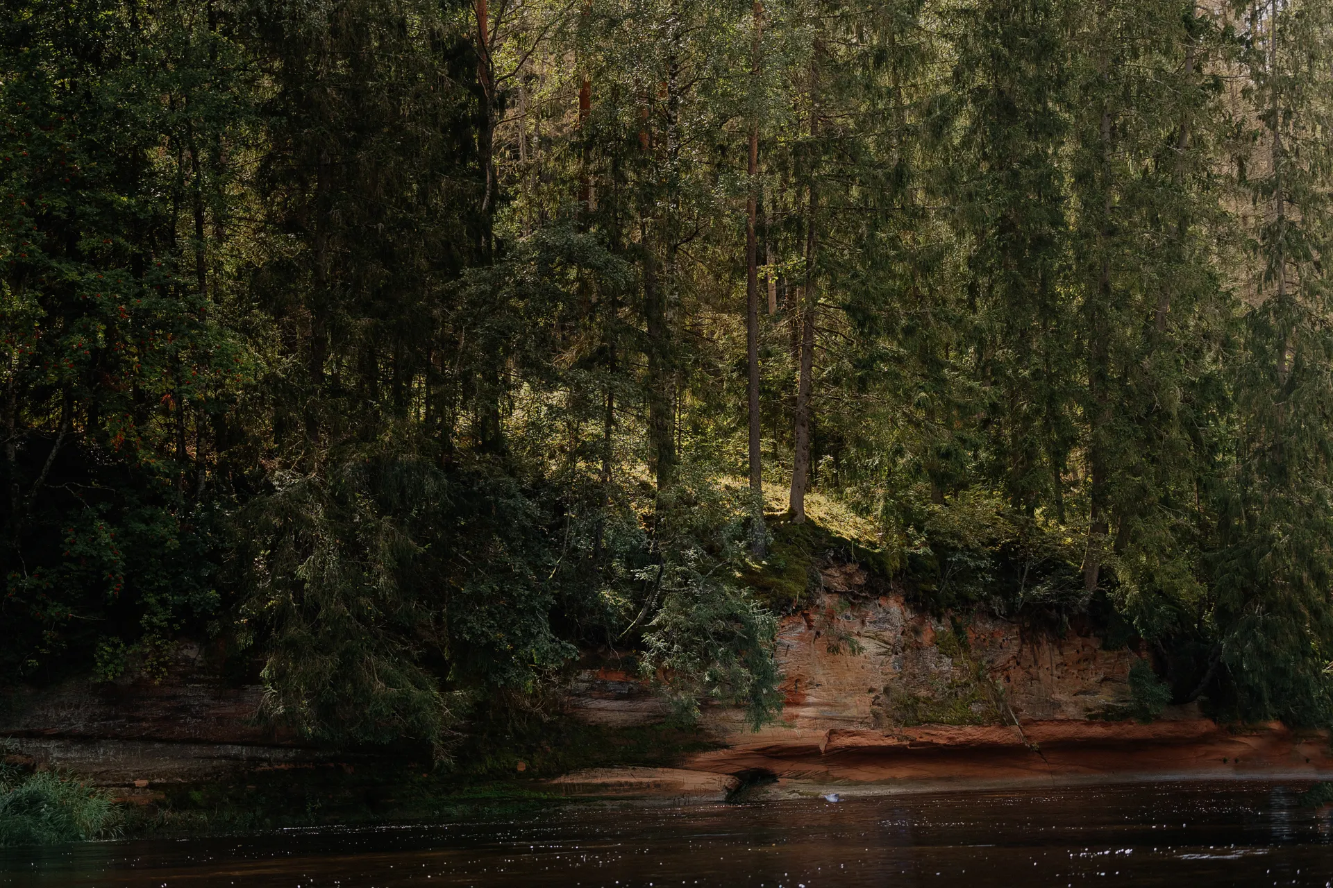 Red River Gorge Camping: Where to Pitch a Tent in Daniel Boone National Forest