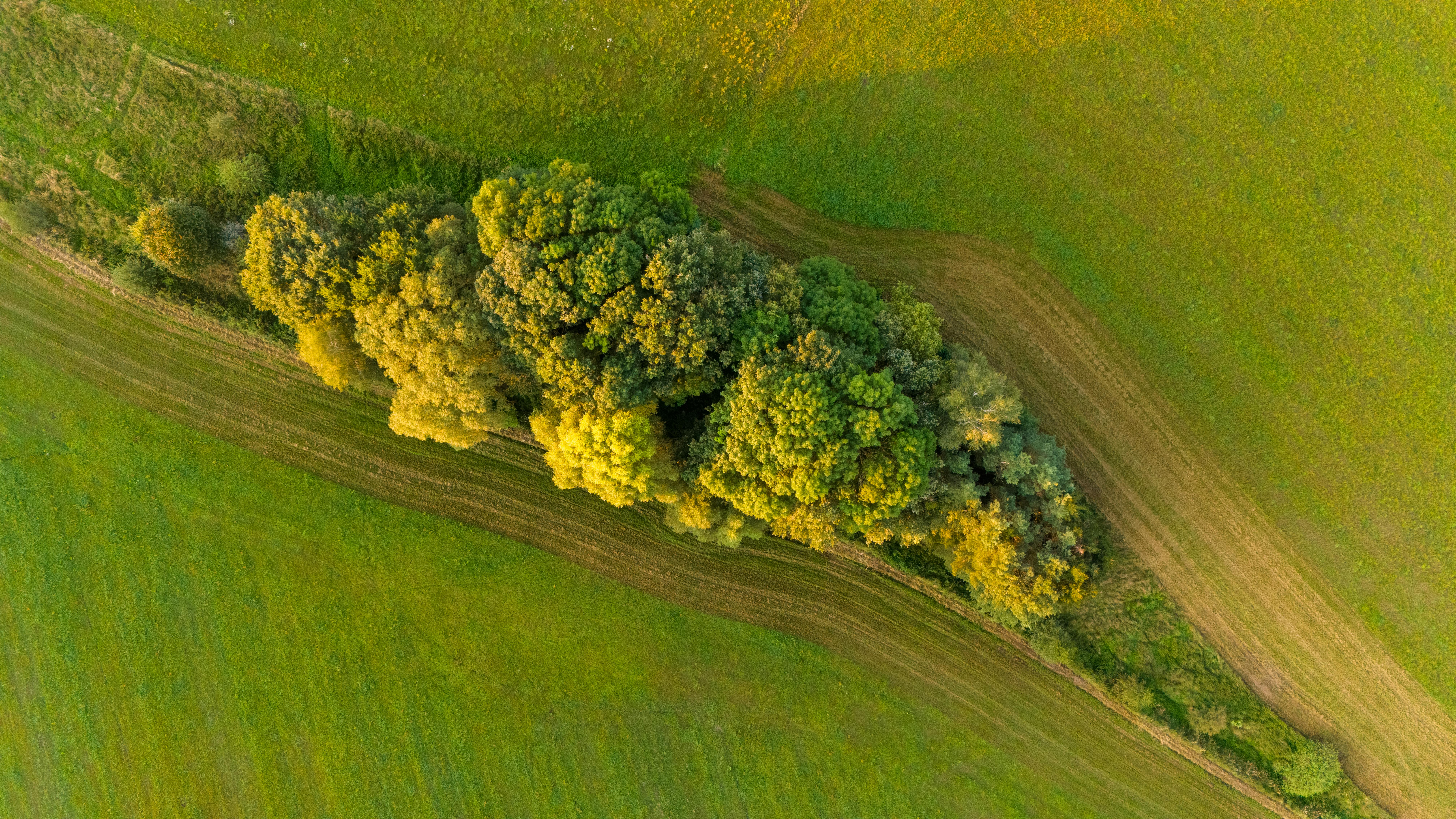corporate governance esg governance in esg meaning — Photo by Stepan Vrany on Pexels