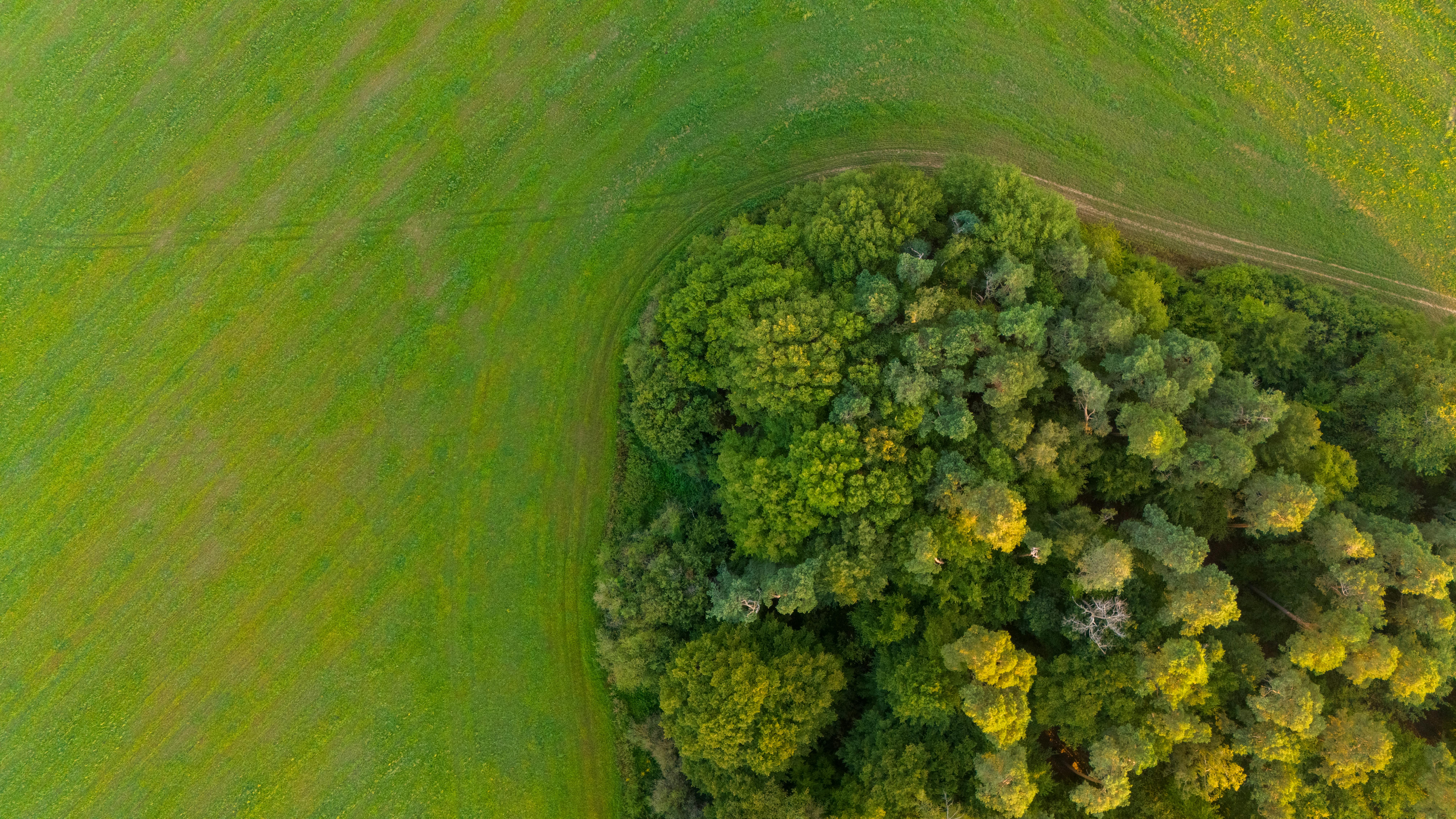corporate governance esg governance in esg meaning — Photo by Stepan Vrany on Pexels