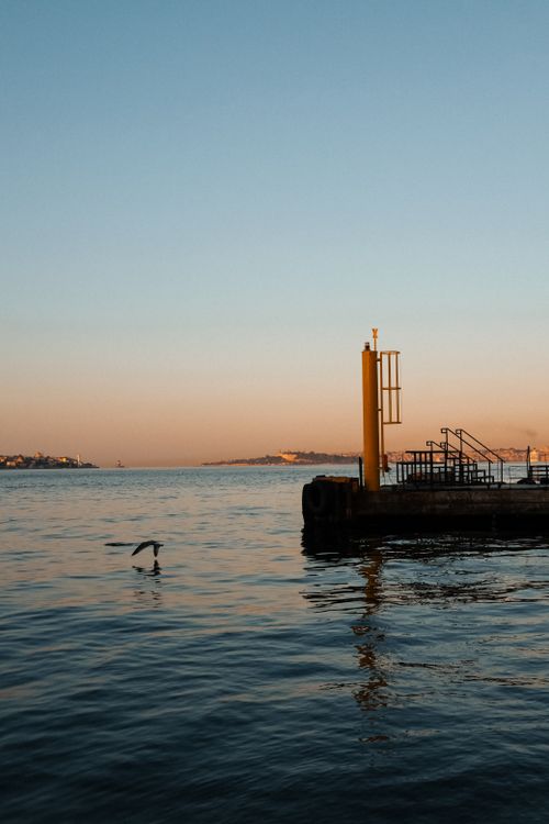 Free Peaceful coastal scene with a seagull flying by at sunset, capturing the tranquil beauty of the ocean. Stock Photo