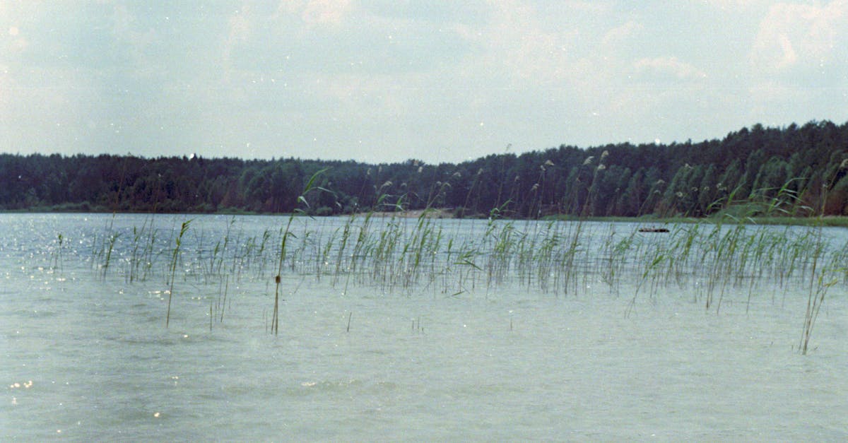 生活:你該知道的日月潭水位驟降背後原因及影響