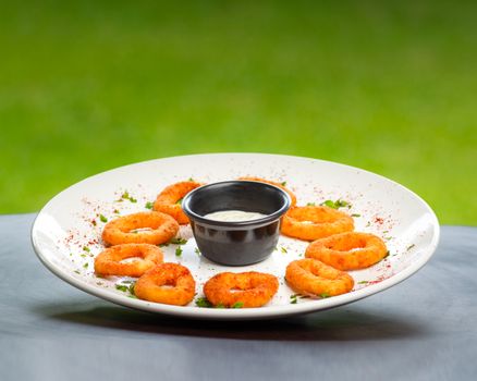 Delicious crispy fried calamari with zesty dipping sauce on a white plate.