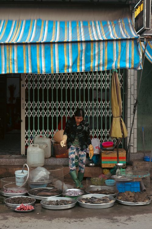 Free A street vendor with fresh seafood at a market in Tien Giang, Vietnam. Stock Photo