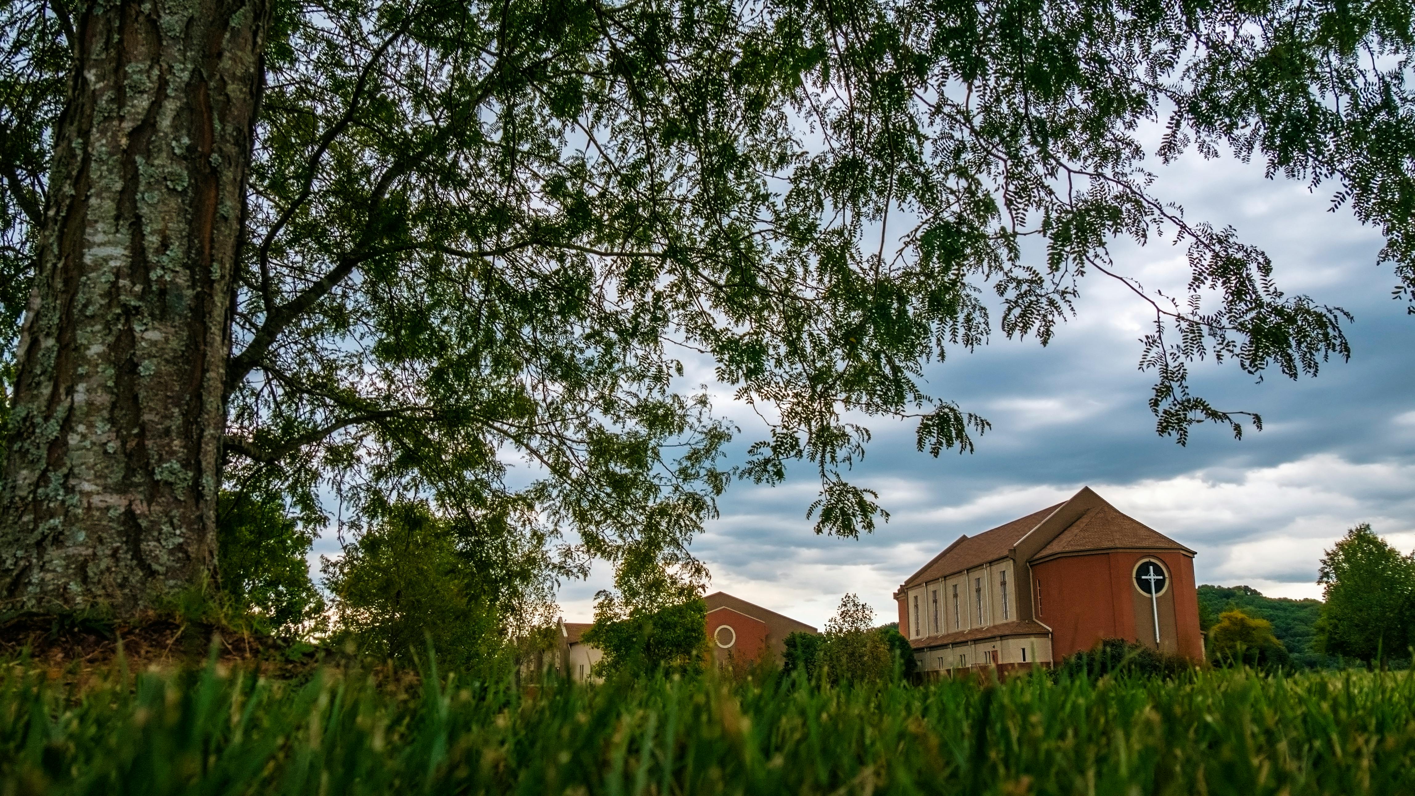 a house is in the middle of a field with trees