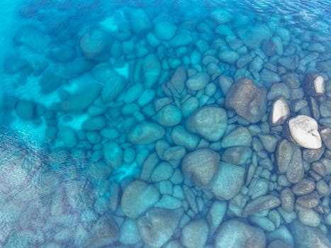 Image by Stephen Leonardi