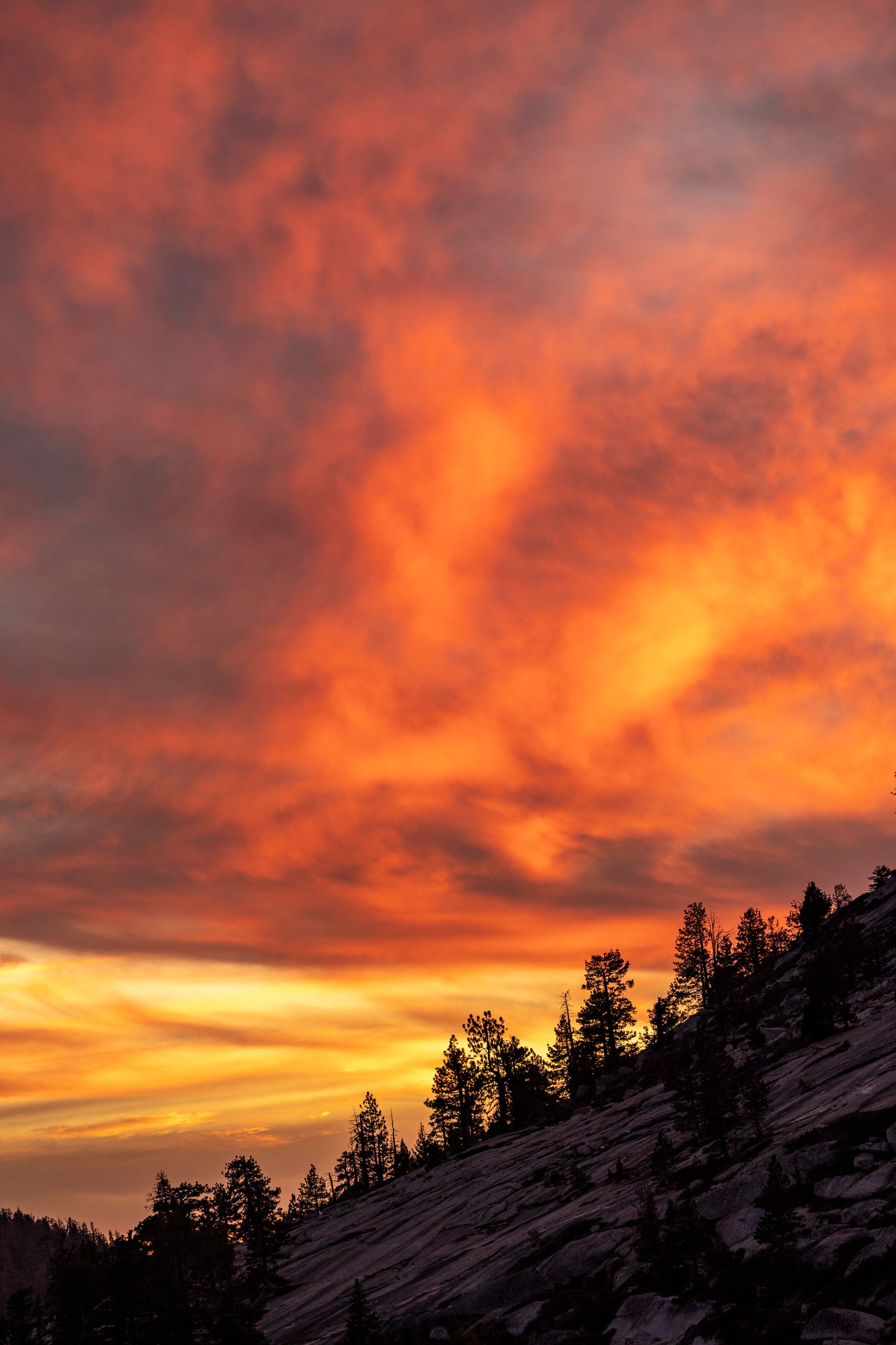A sunset over a mountain range and trees · Free Stock Photo