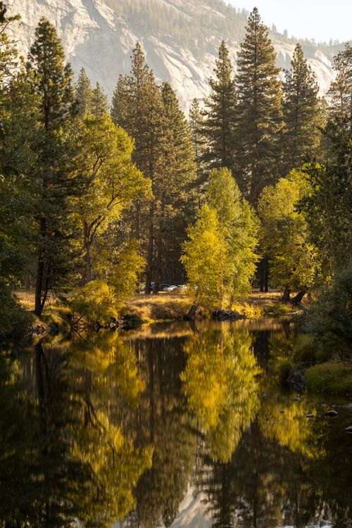 Free Peaceful autumn landscape with trees reflecting on a calm lake. Stock Photo