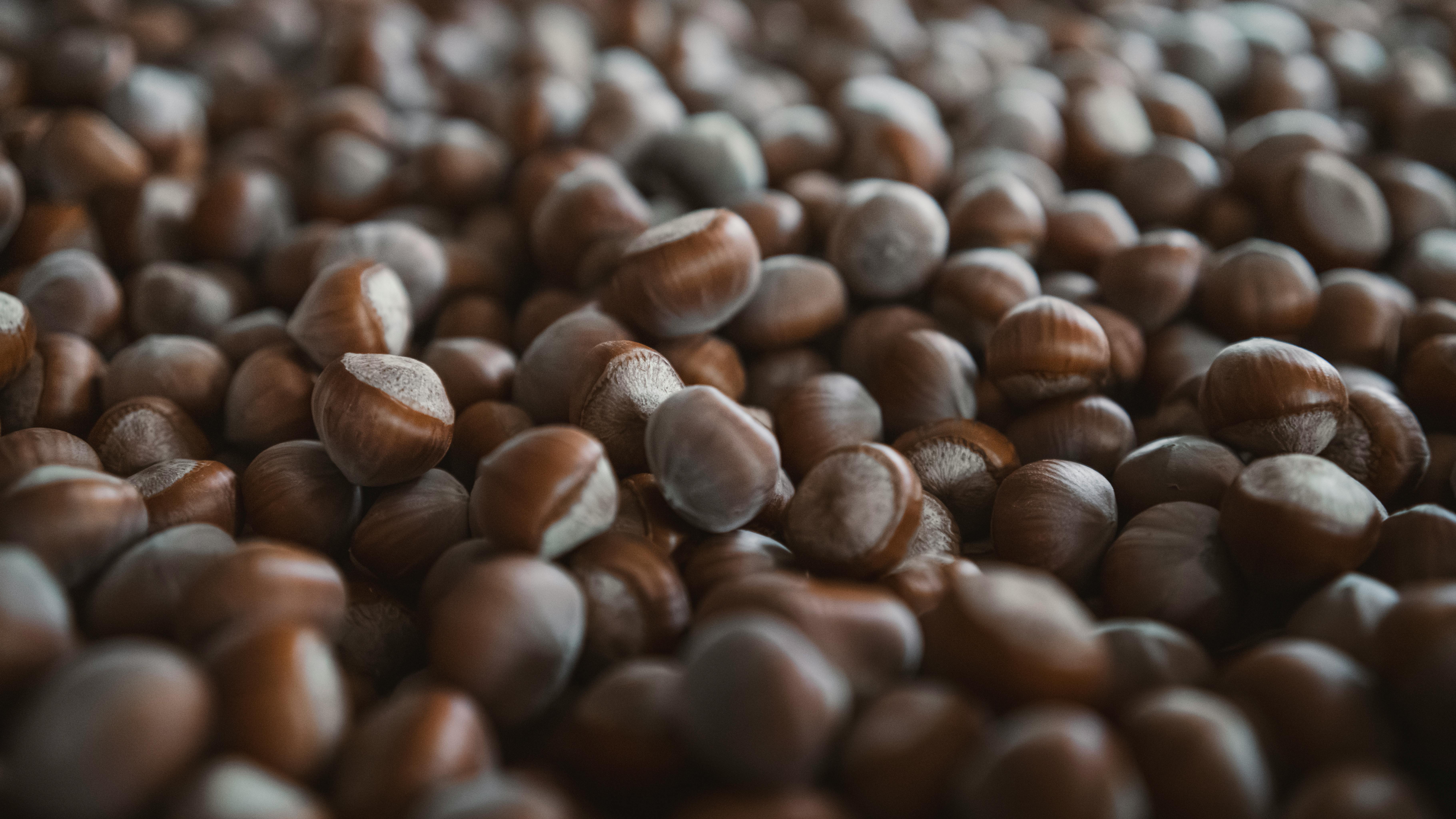 harvested hazelnuts