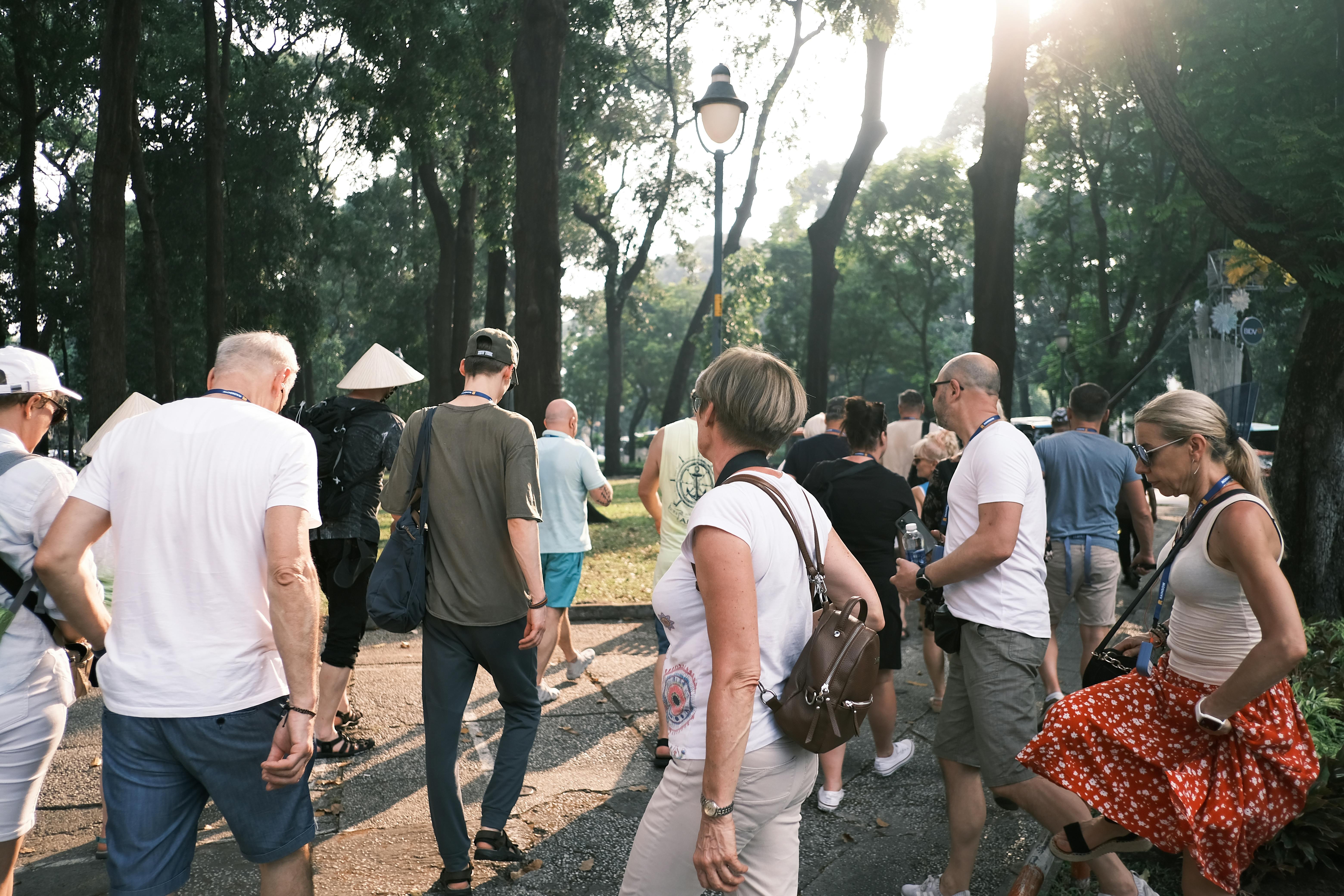 Discovering Ancient Forest Secrets Hidden in Modern Urban Spaces