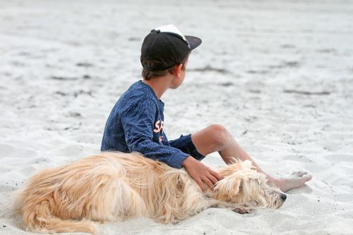 Free Child and dog enjoying a peaceful moment on sandy beach in daylight. Stock Photo