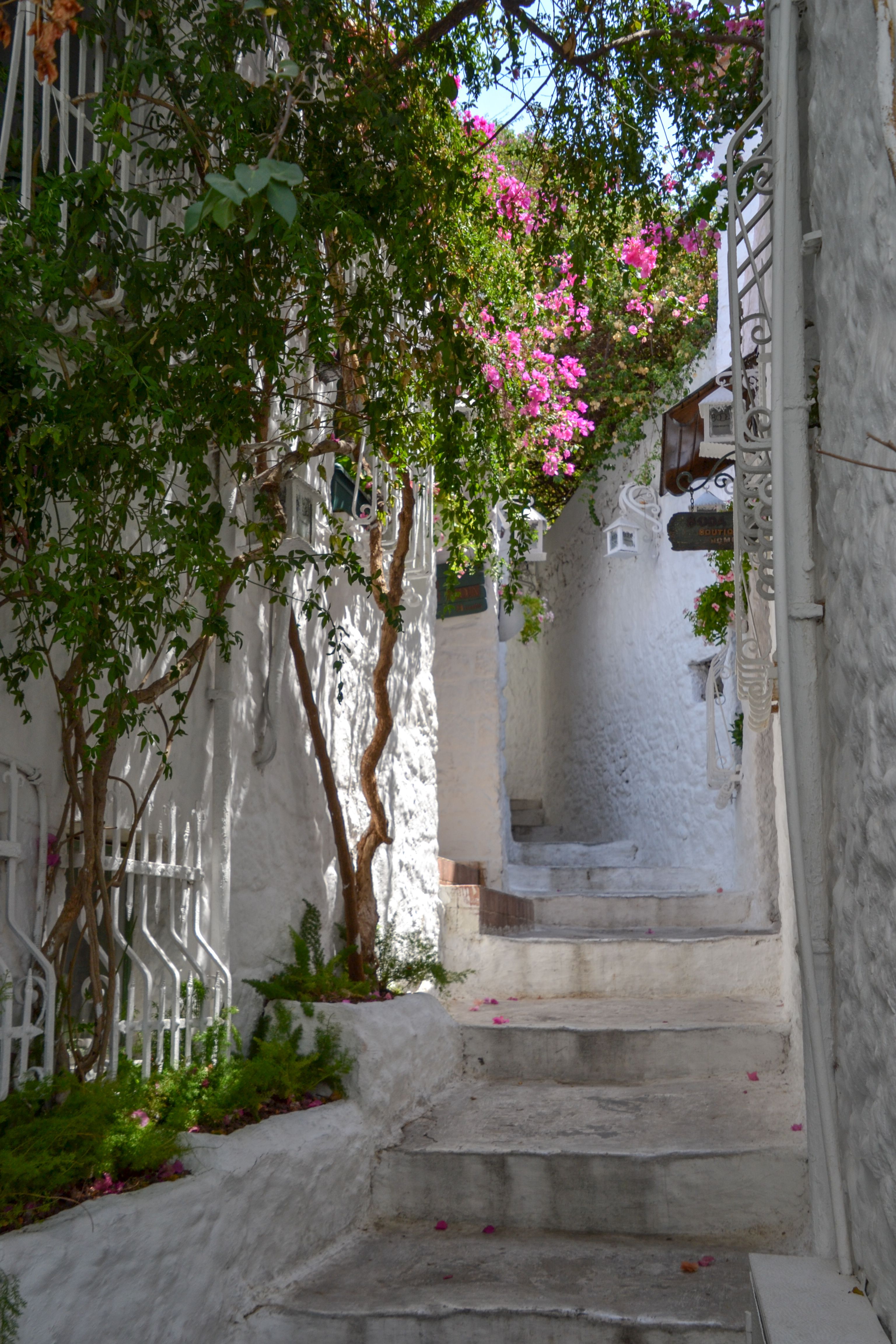 Narrow Spring Garden House Photos, Download The BEST Free Narrow Spring ...