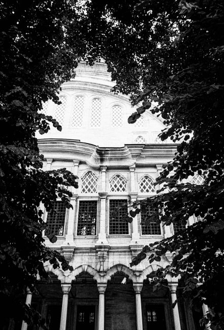 A black and white image showcasing the facade of a historic mosque in Istanbul framed by trees.