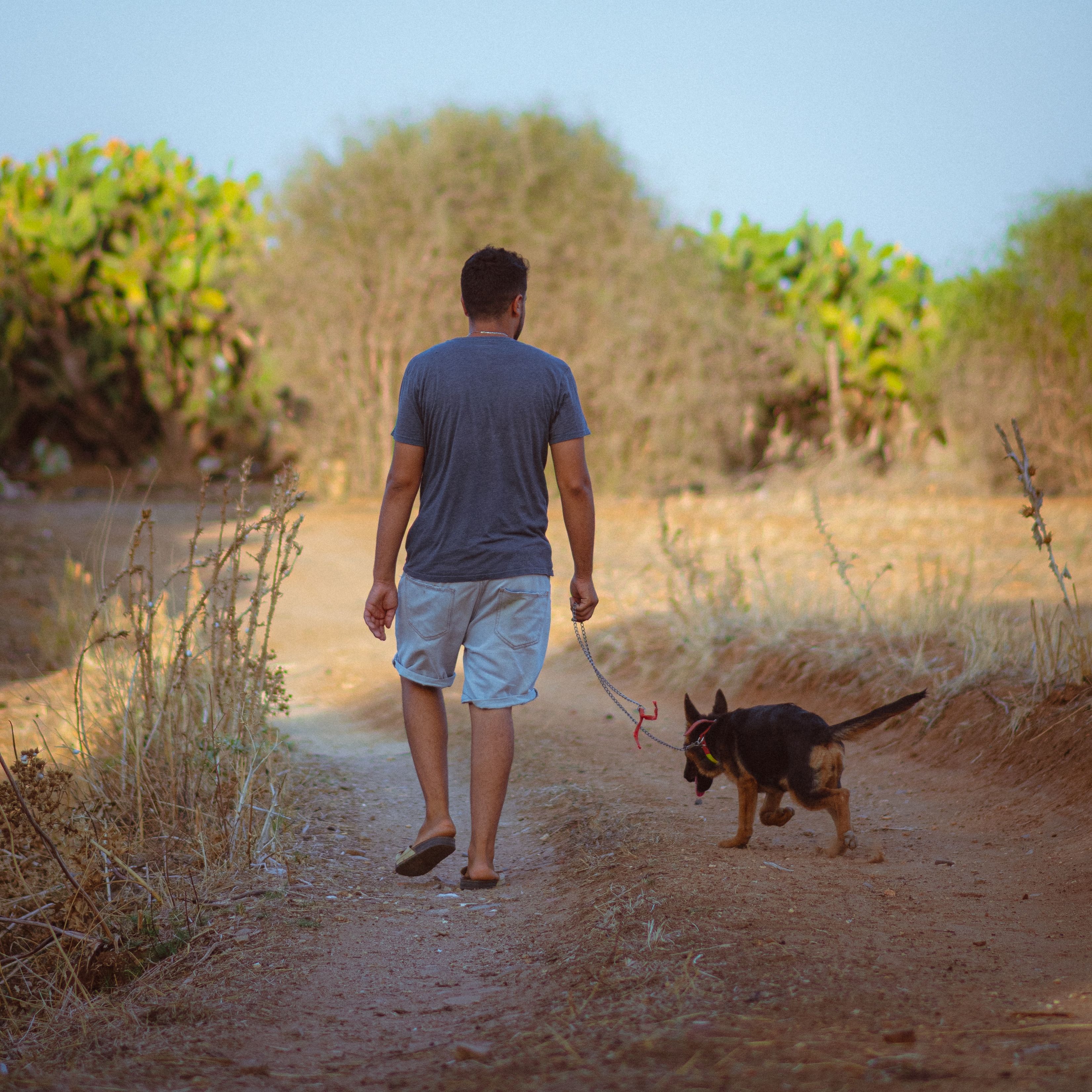 A man strolls with his dog through a serene rural path in Jendouba, Tunisia, on a sunny day.