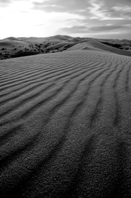 Monochrome photograph of sand dunes creating a serene desert landscape with ripples and shadows.