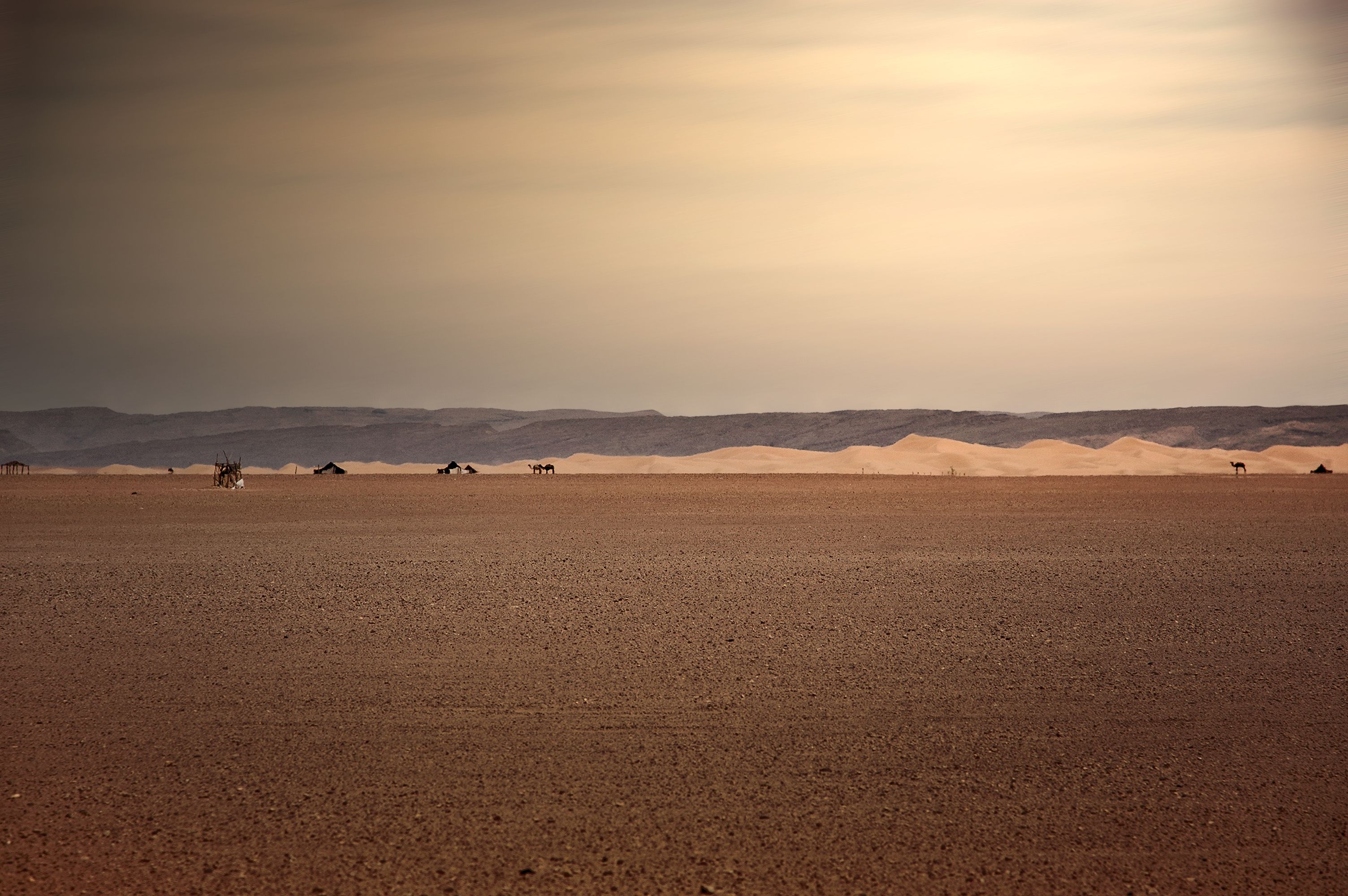 Desierto con dunas y paisaje árido