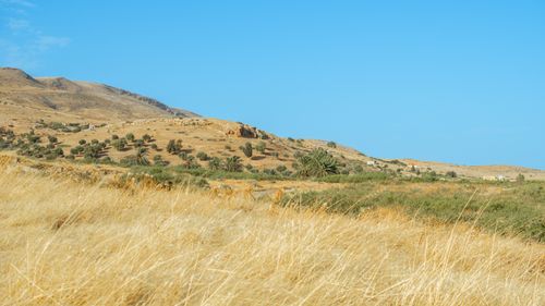 Free Scenic rural landscape of Jendouba, Tunisia with golden fields and distant hills under a clear blue sky. Stock Photo