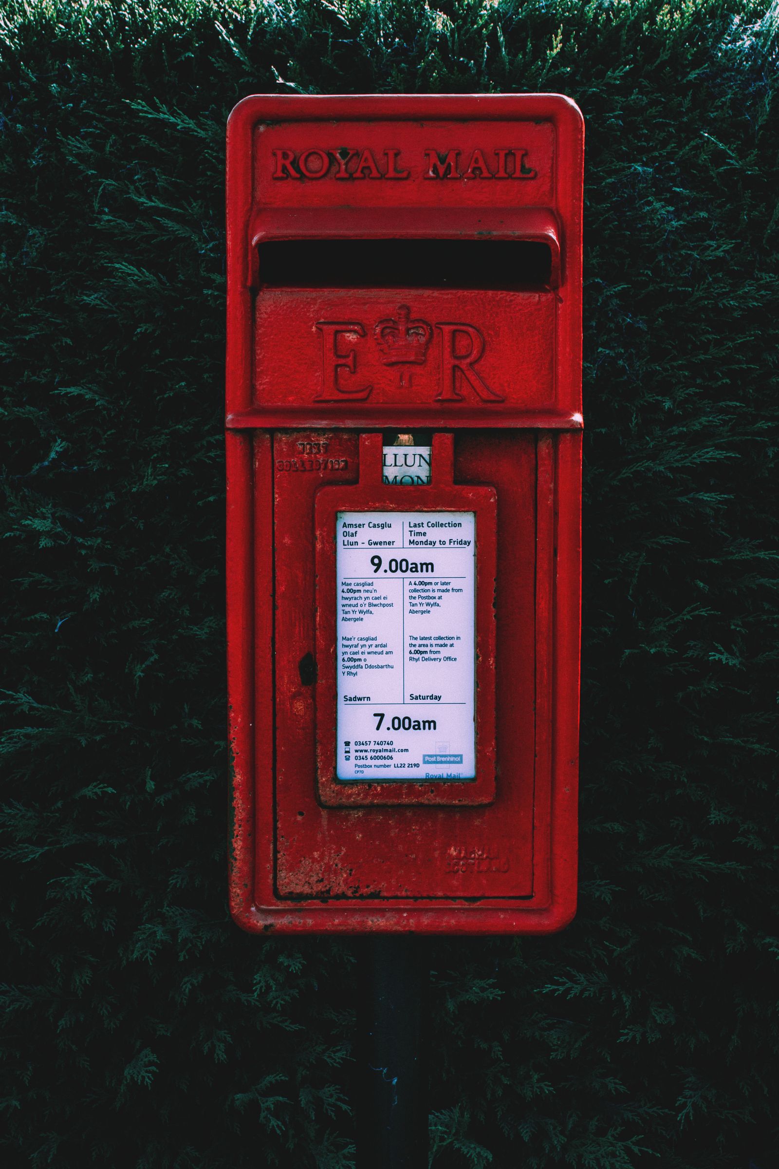 A red post box set into a dark green hedge