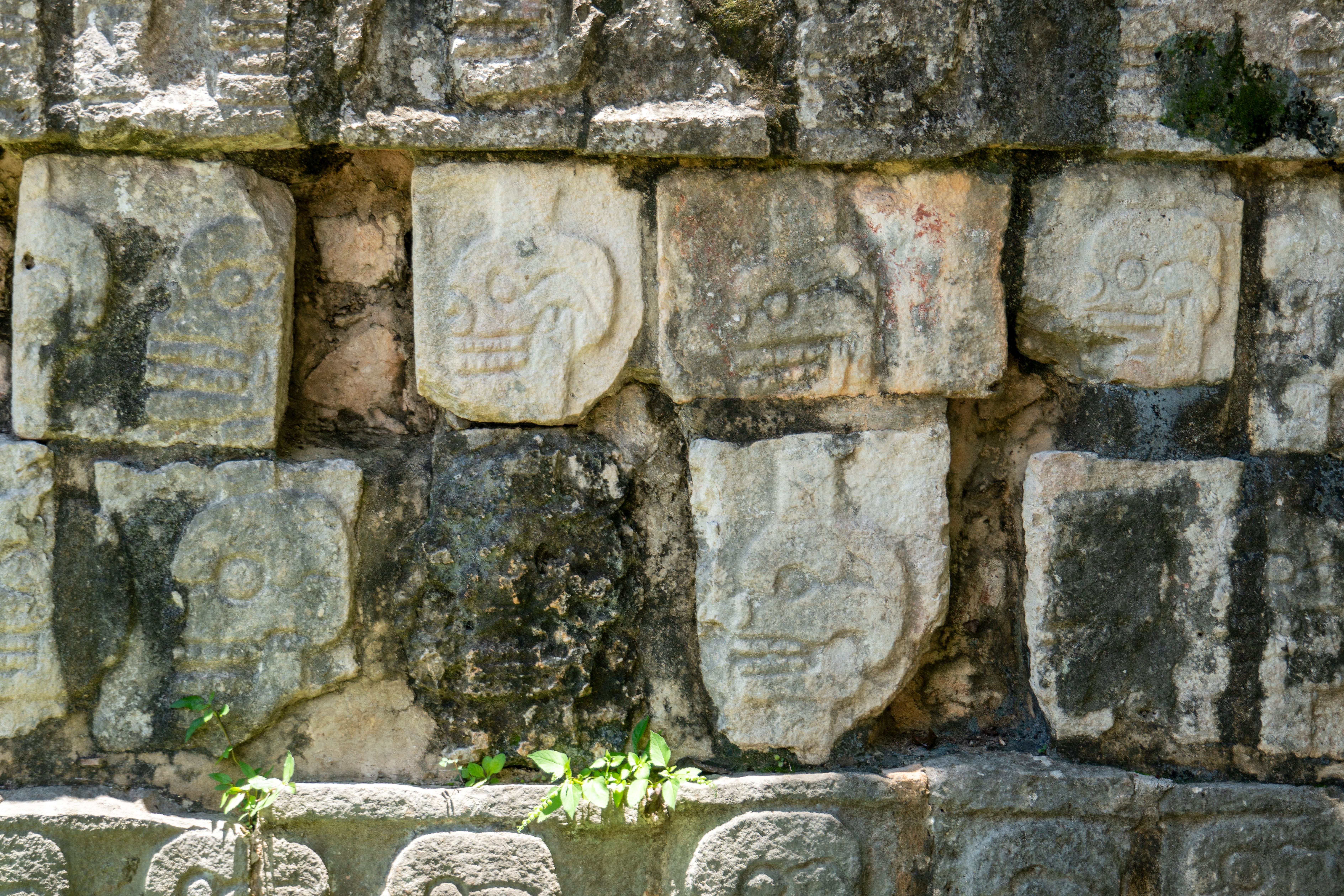 Carved reliefs on the Tzompantli platform of skulls at Chichén Itzá