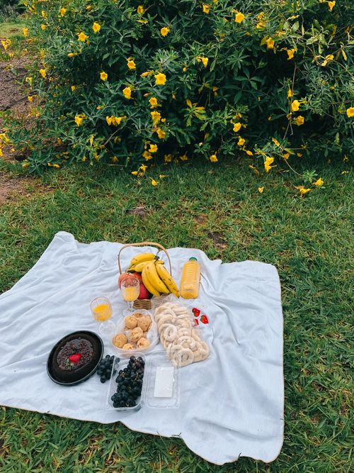 Free A cozy picnic scene with fruits and pastries on a white blanket surrounded by lush greenery. Stock Photo