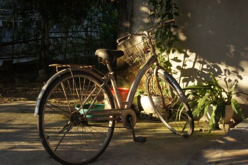 Free A vintage bicycle rests against a wall, casting shadows in a sunlit garden. Stock Photo
