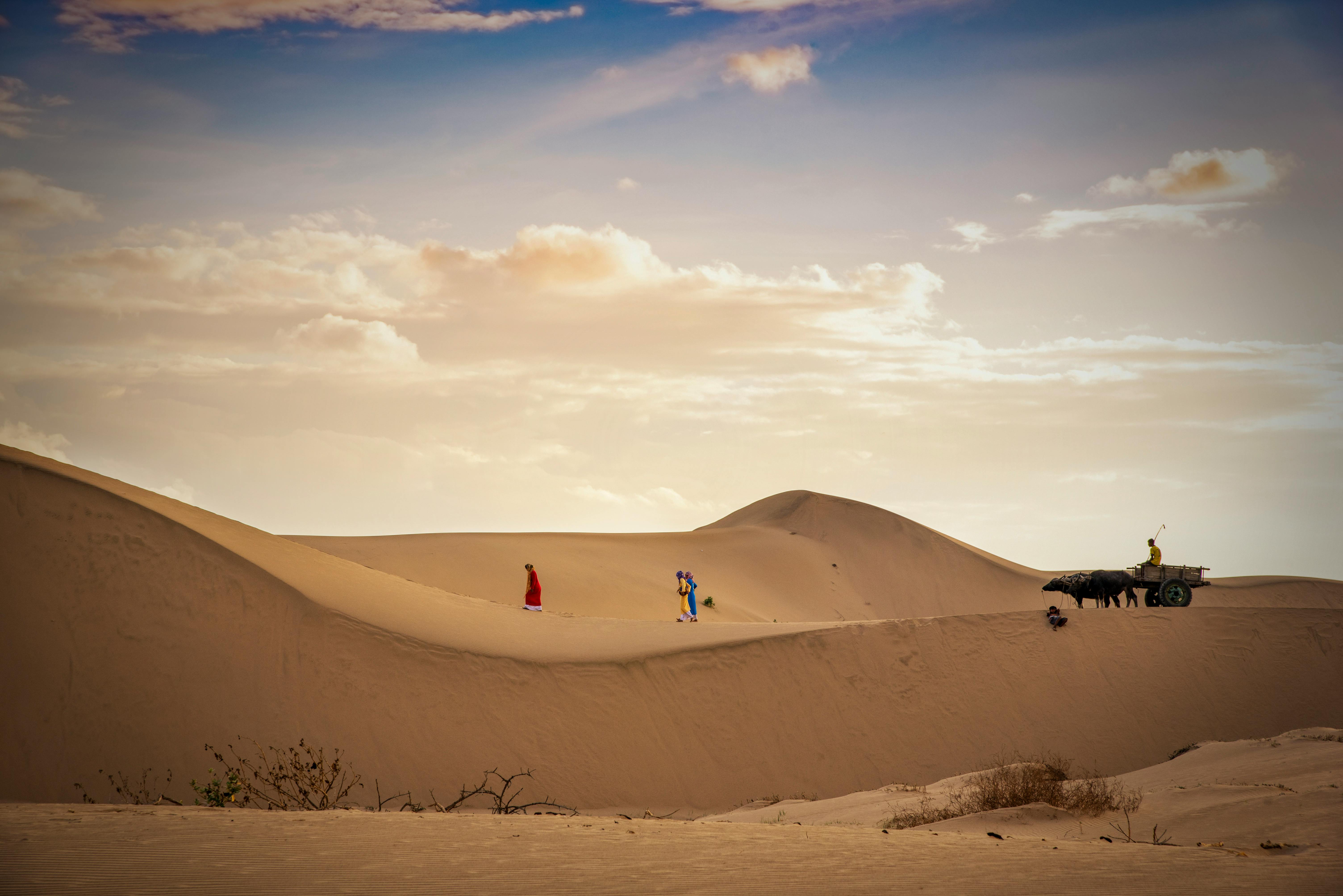 a group of people walking on top of a sand dune