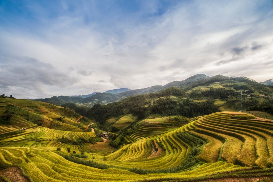 Scenic view of terraced rice fields and distant mountains on a bright summer day.