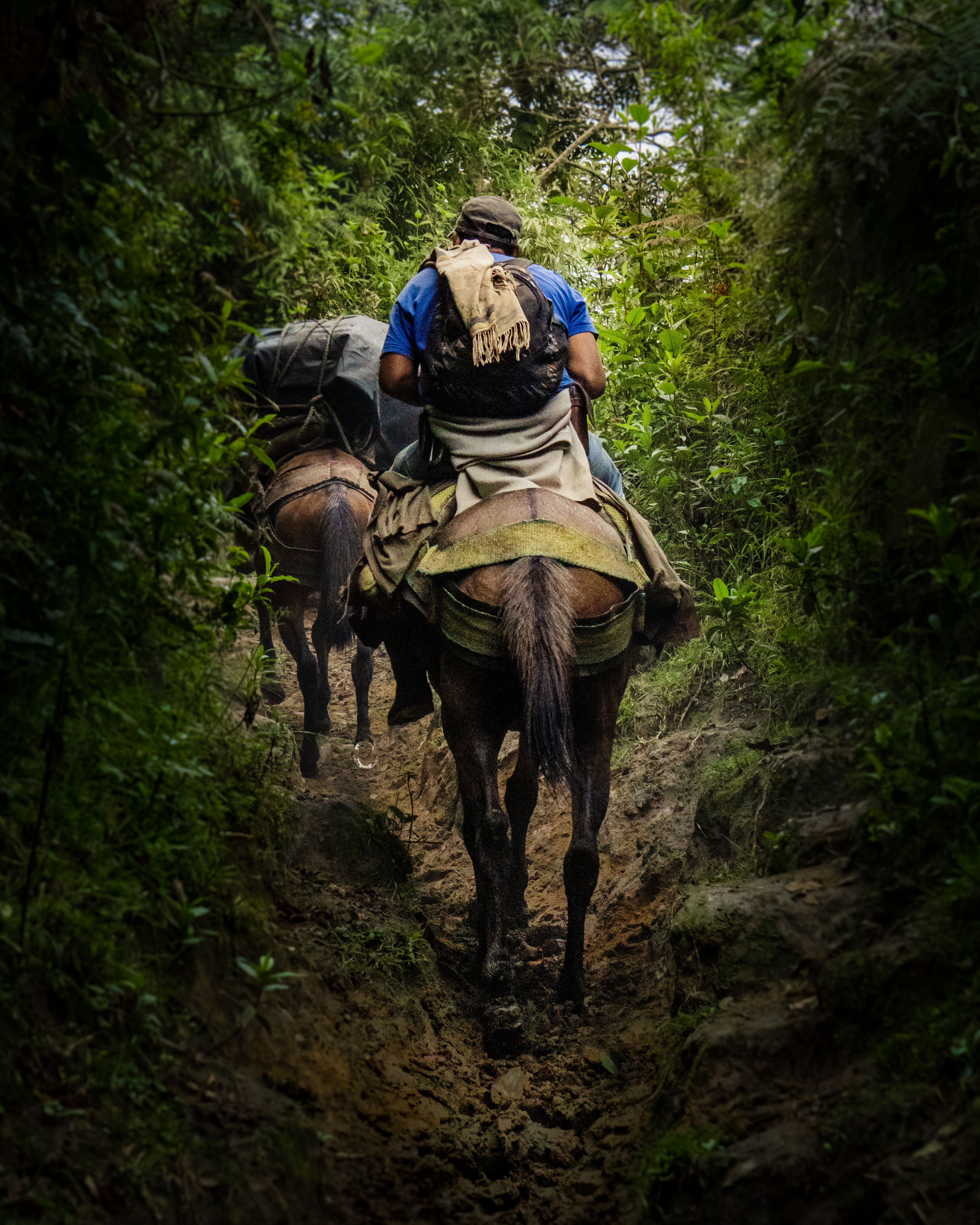 En trois ans, 1 200 « mules » du trafic en provenance du Brésil ont été arrêtées à leur entrée en France avec des drogues, selon un rapport