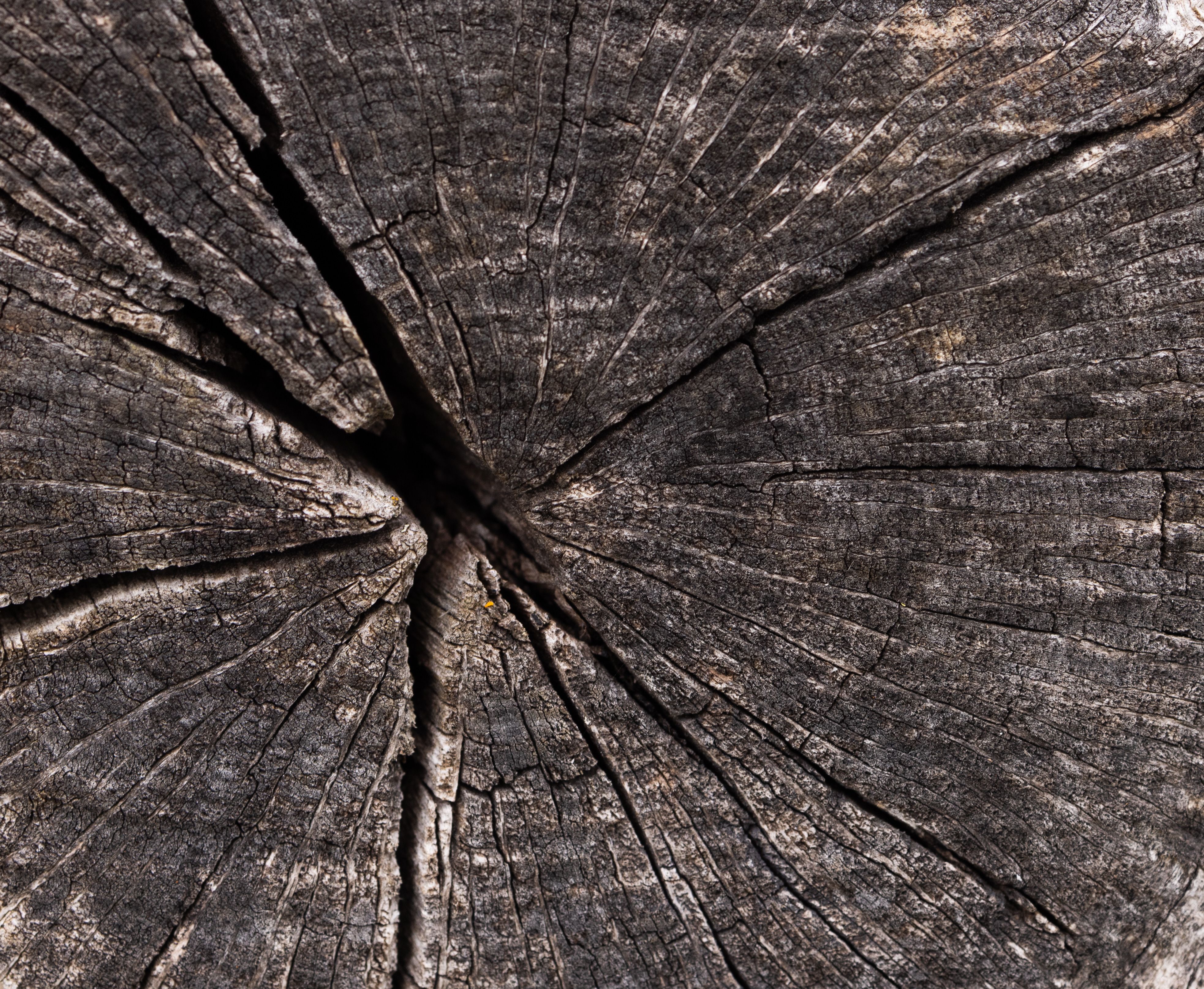 Berserk: The Dark Age Releases Its First Episode - comicbook.com — Photo by Ellie Burgin on Pexels