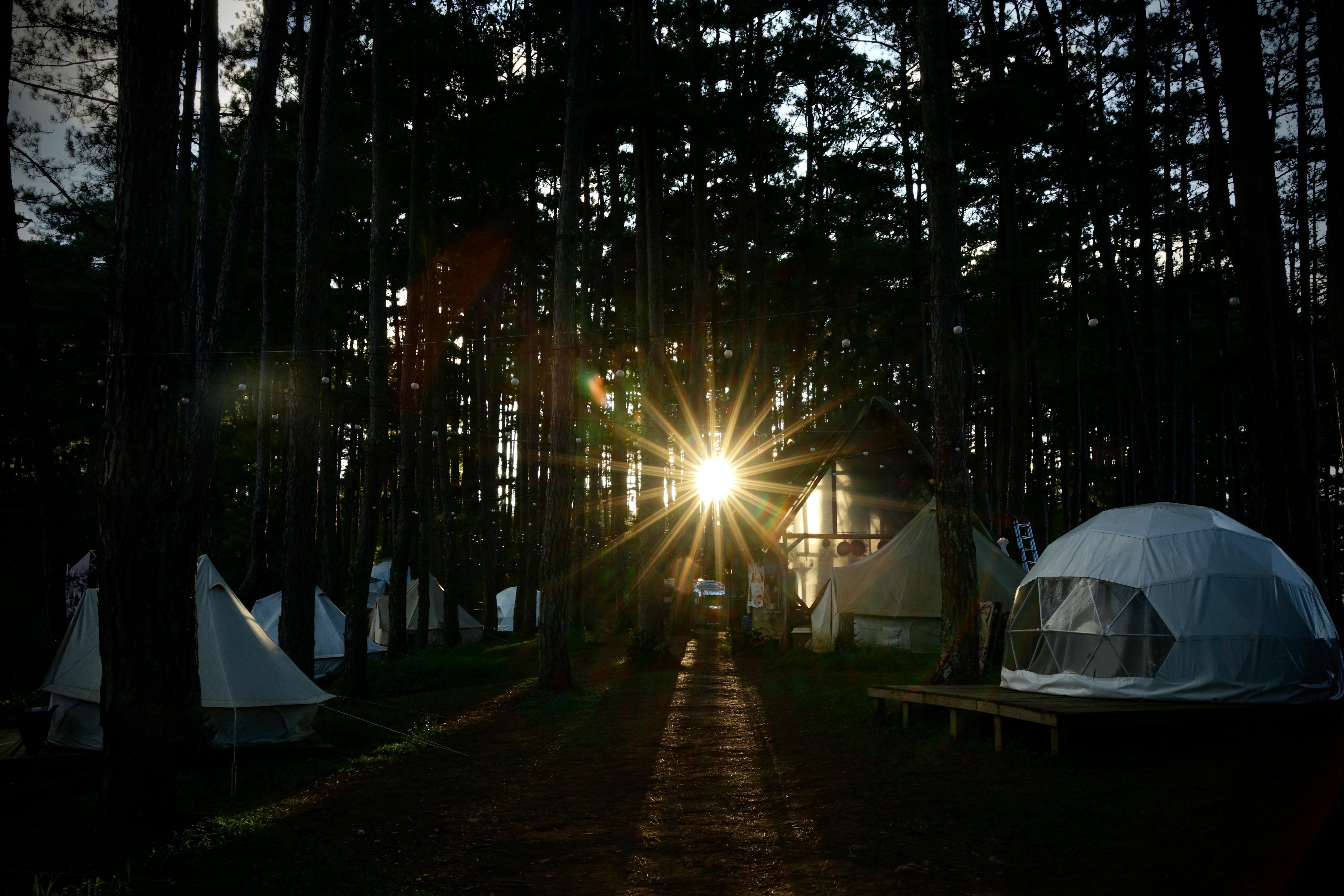 Campinguri și trasee luxoase, dar în aer liber