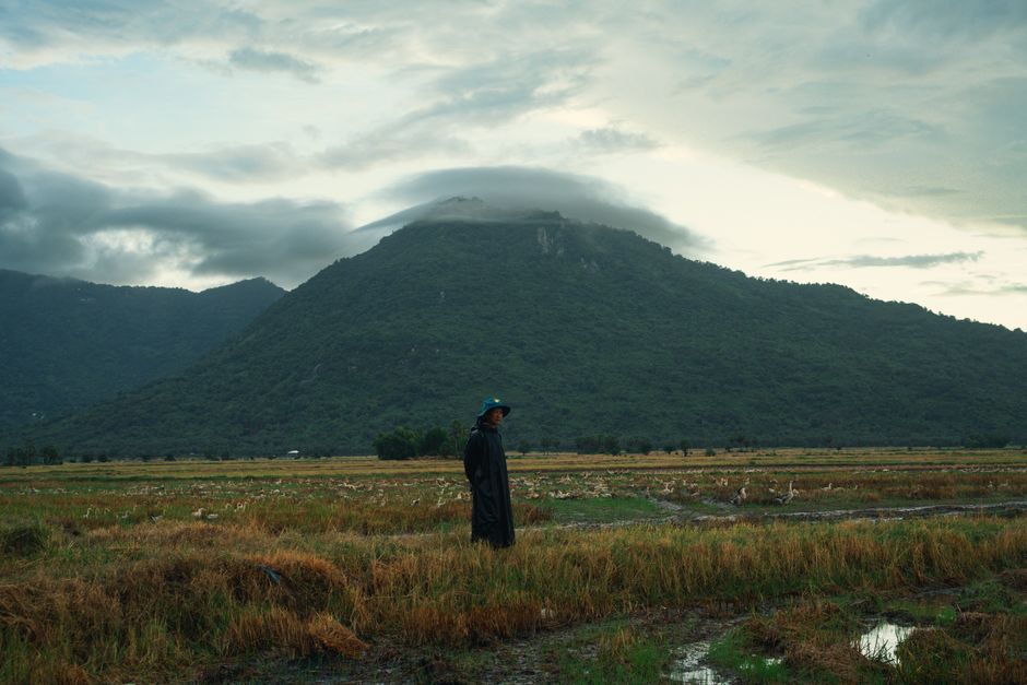 A lone person stands in a field with a majestic mountain backdrop and moody sky.