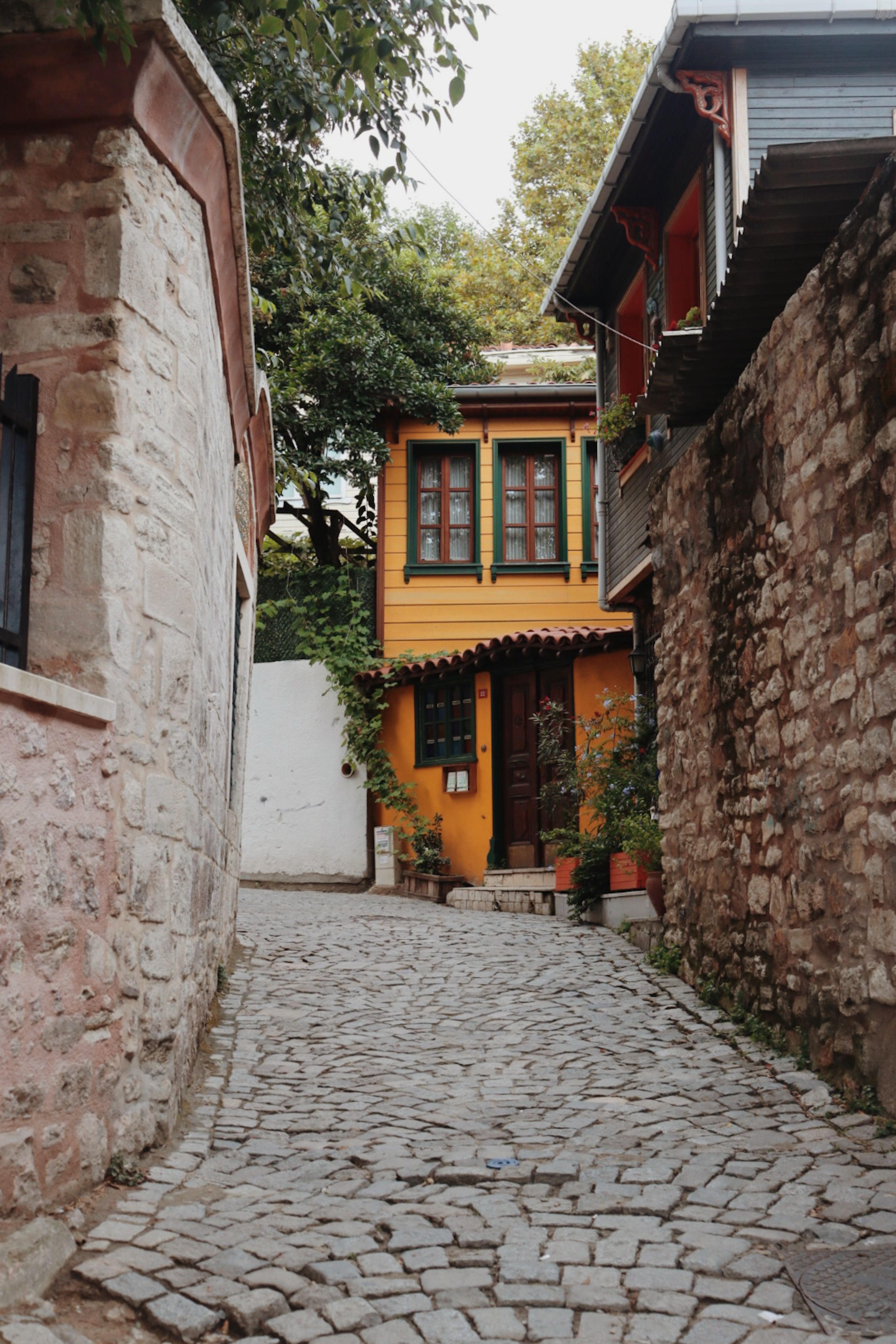 Black Cat Walking on Pathway in Between Cobblestone Wall · Free Stock Photo