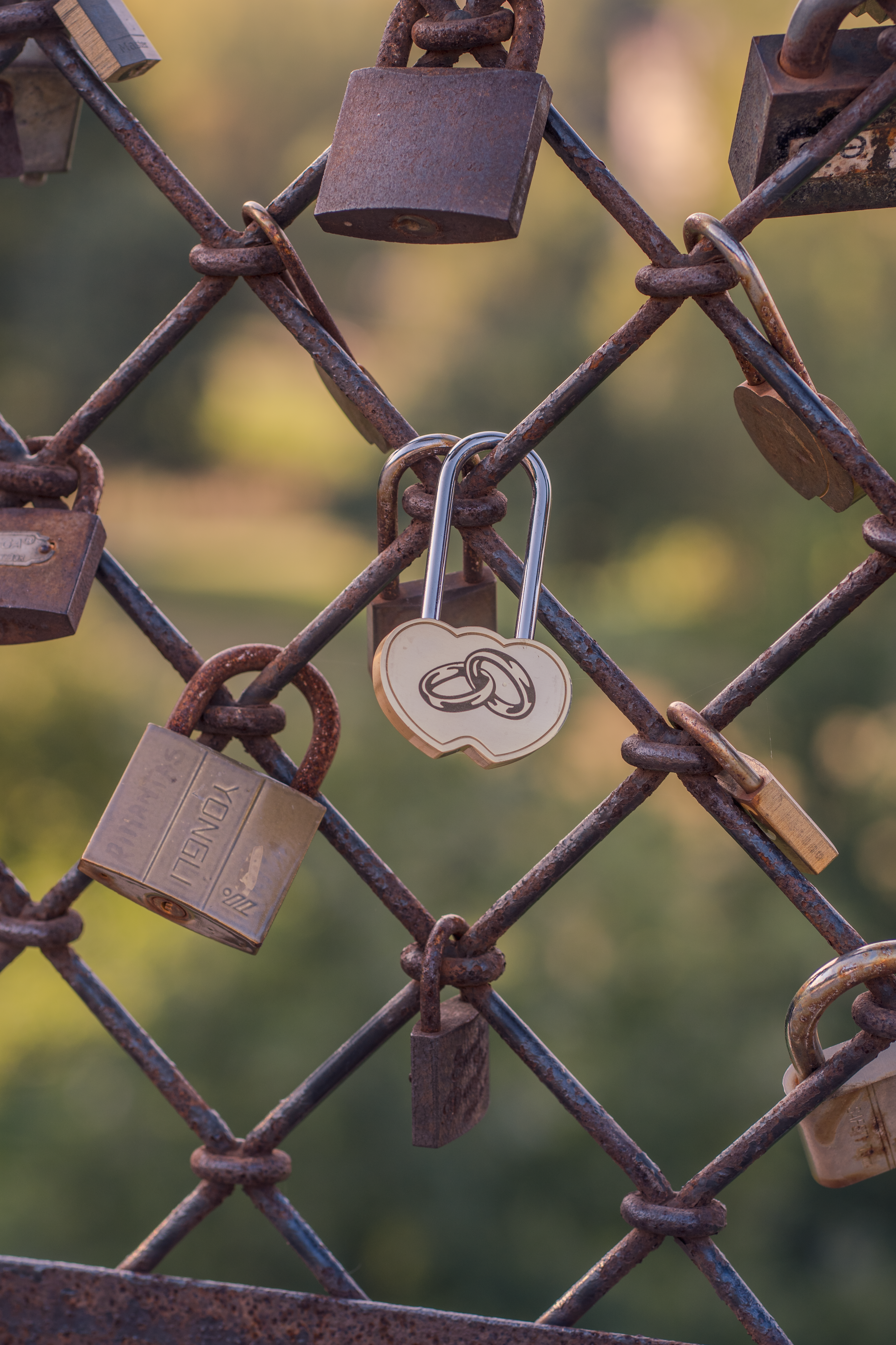 Locking In Love
