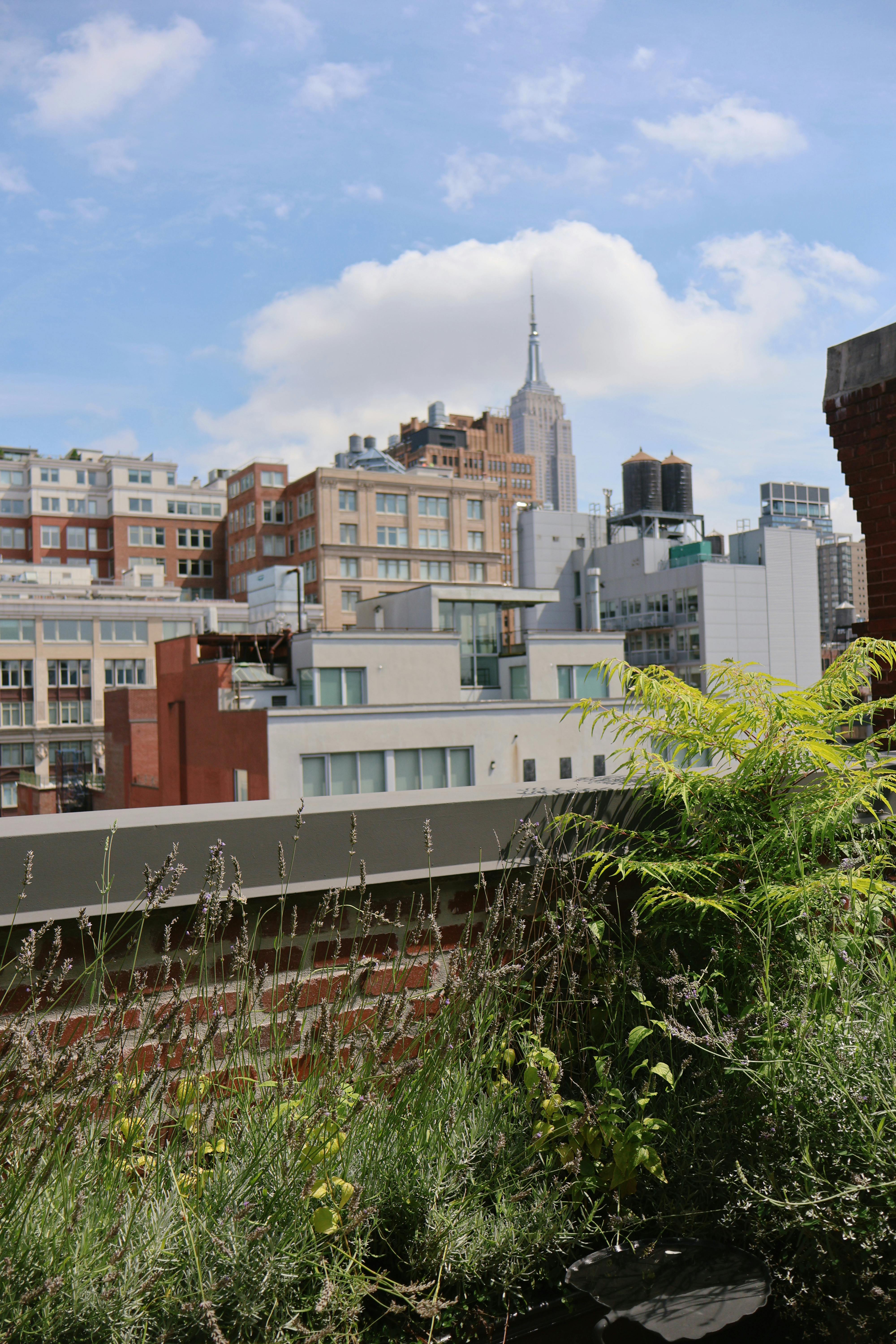 the high line new york city ny