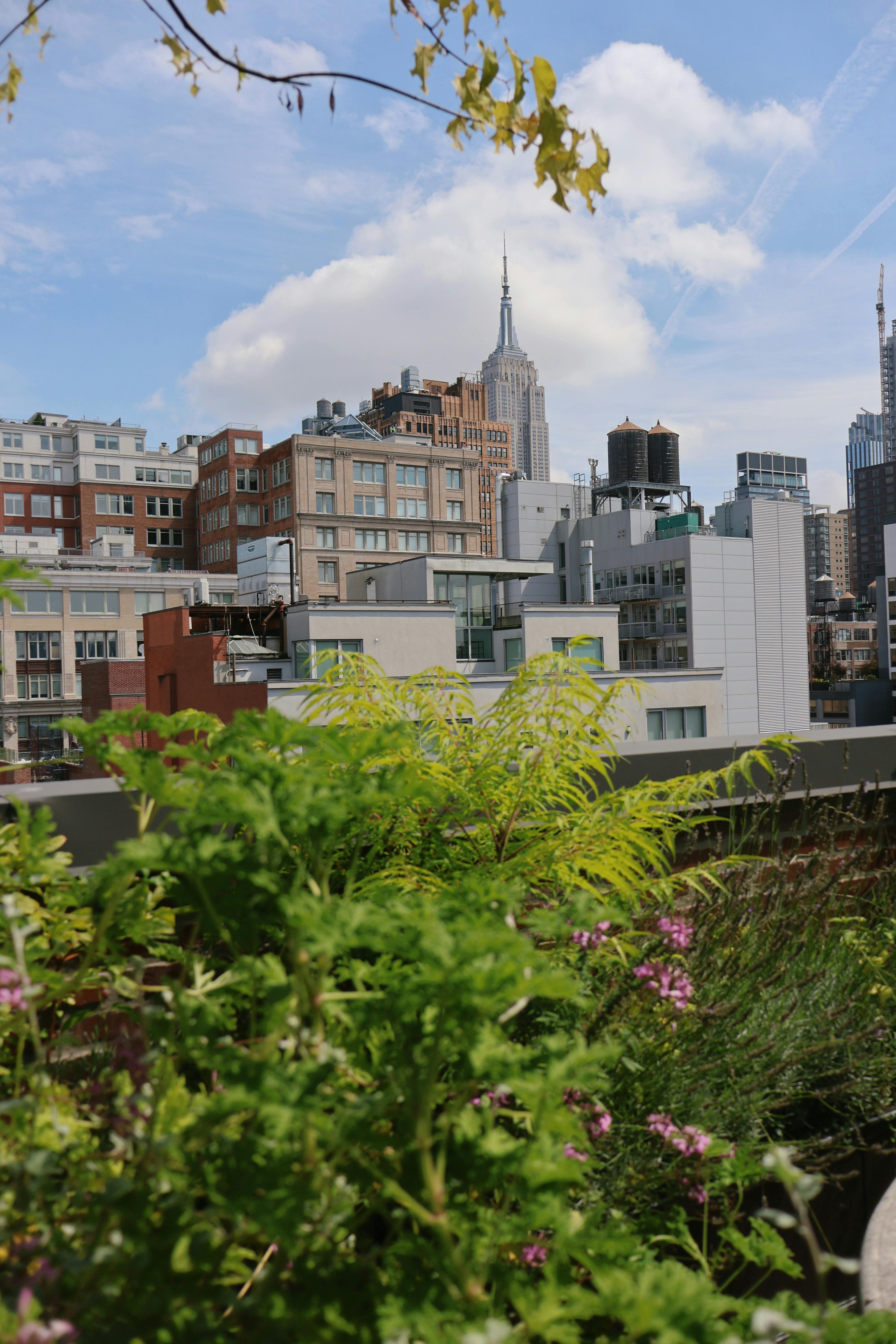 the view from the roof of a building with plants and trees