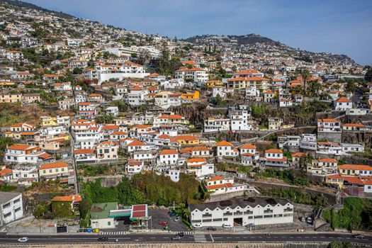 Funchal market and toboggan ride — Madeira