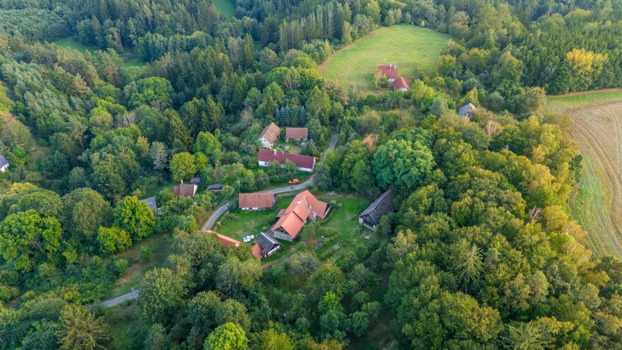 Aerial view of a small village surrounded by trees · Free Stock Photo