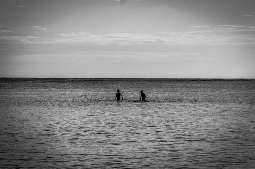 бесплатная Фотография двух человек в водоеме в оттенках серого Стоковое фото