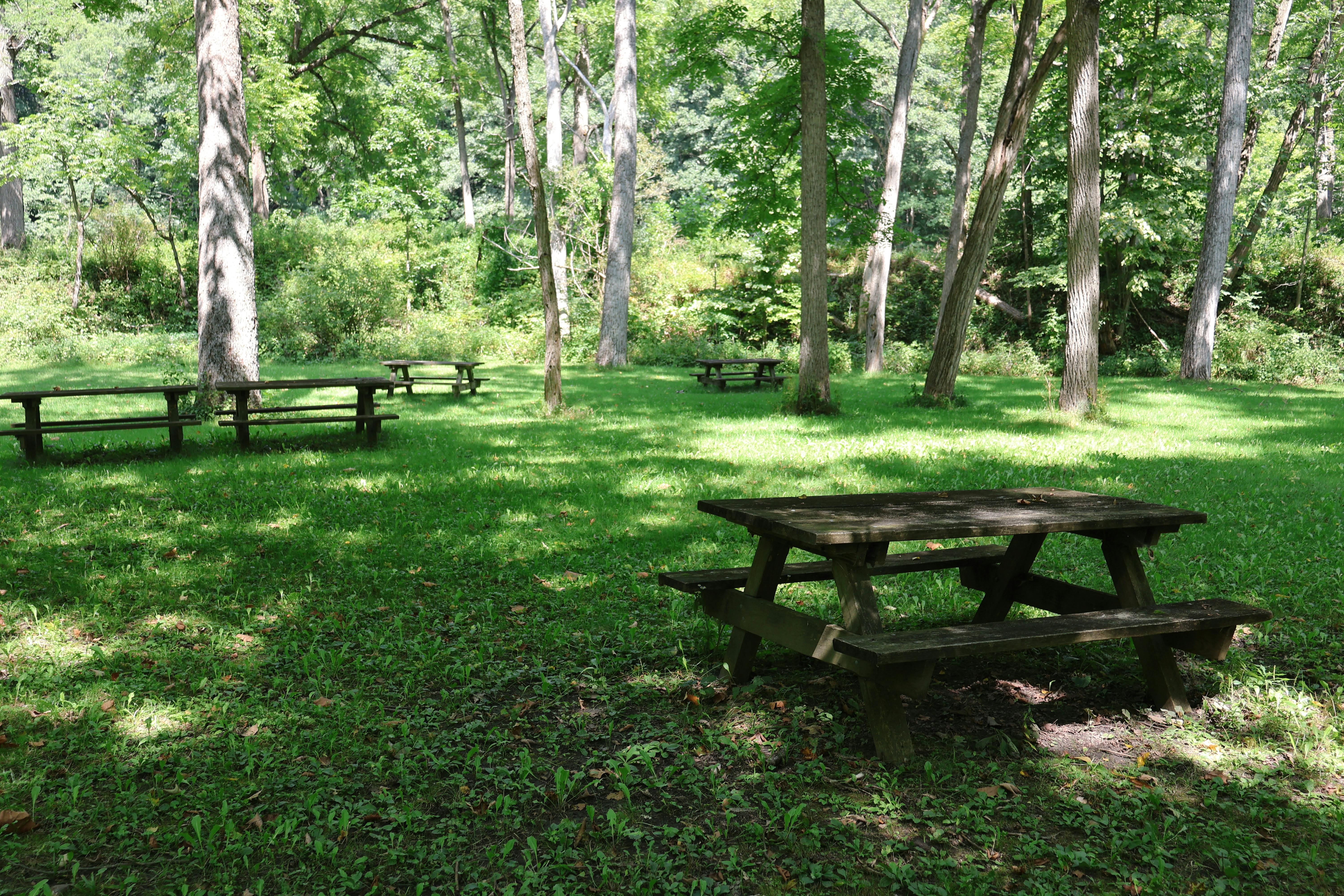 Fort A.P. Hill Outdoor Recreation Manager Recognized among Army’s Best — Photo by Sarah O'Shea on Pexels