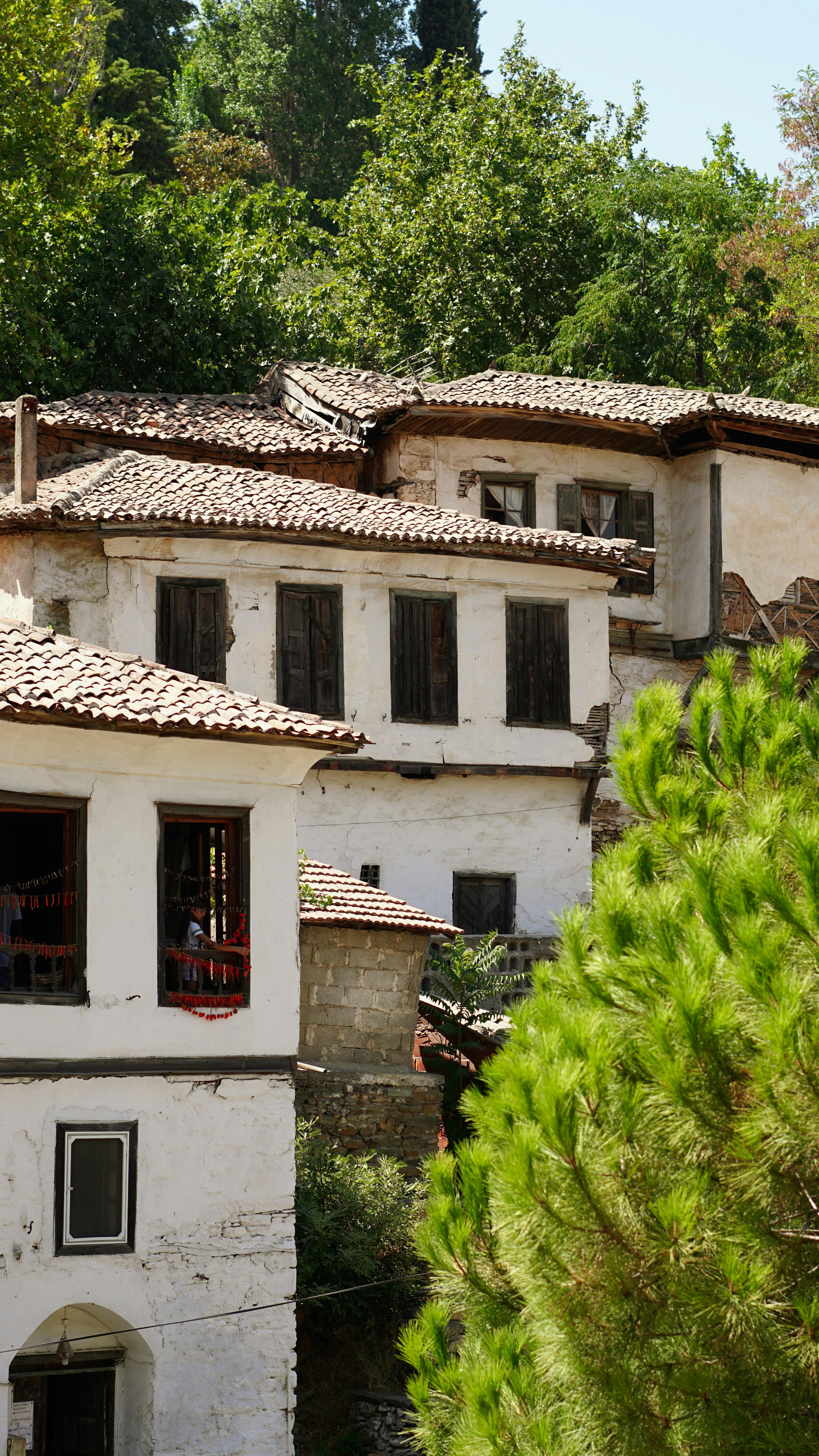 Charming traditional houses in Şirince, İzmir amidst lush summer greenery.