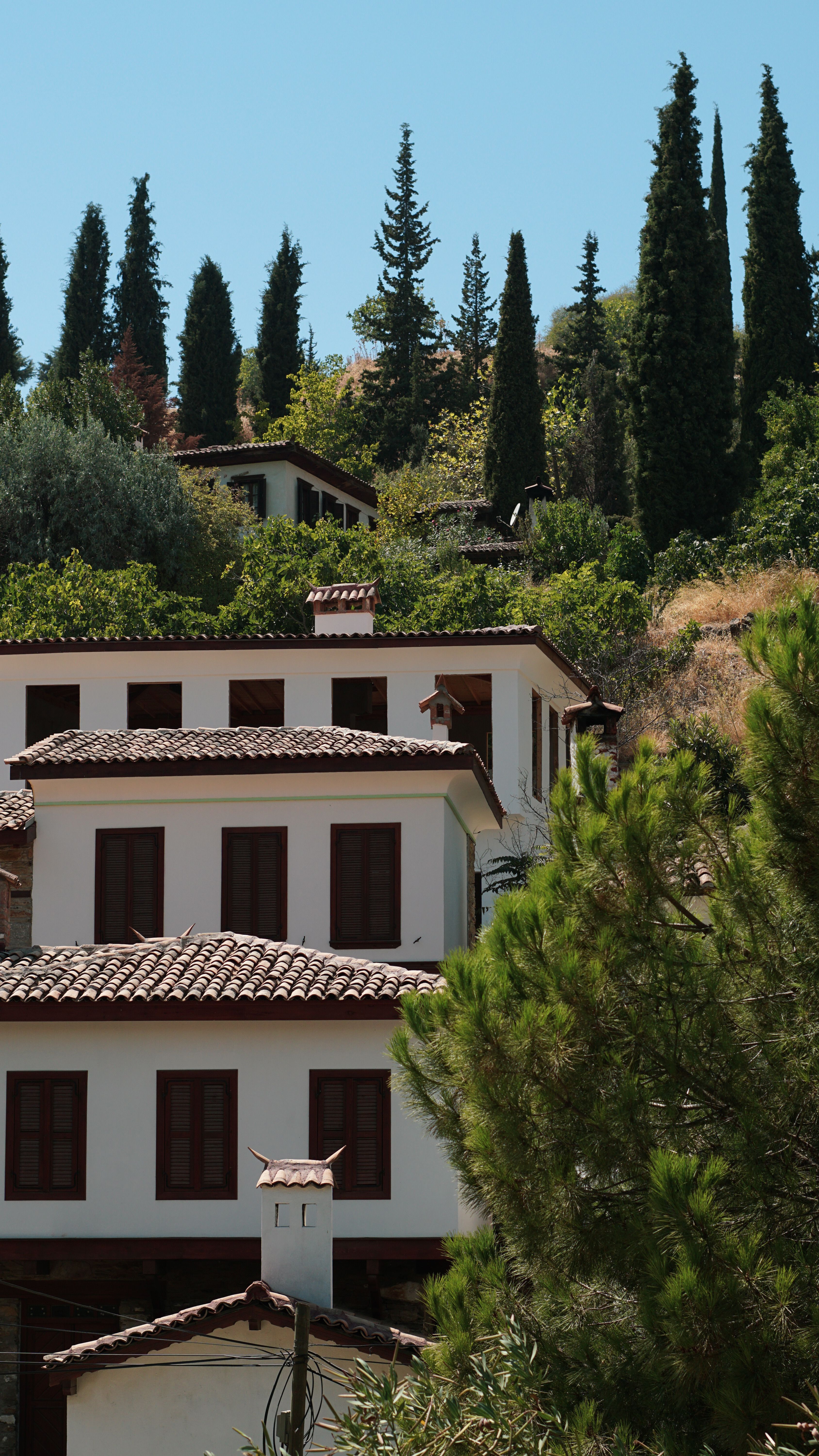 Charming traditional house amidst lush greenery in Şirince, İzmir, Türkiye, showcasing Ottoman architecture.