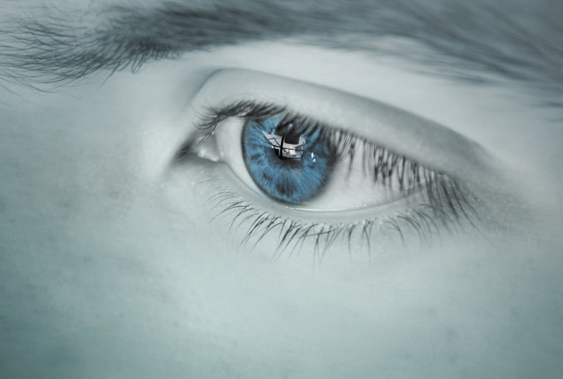 無料 青い目の瞳孔の壁紙 写真素材