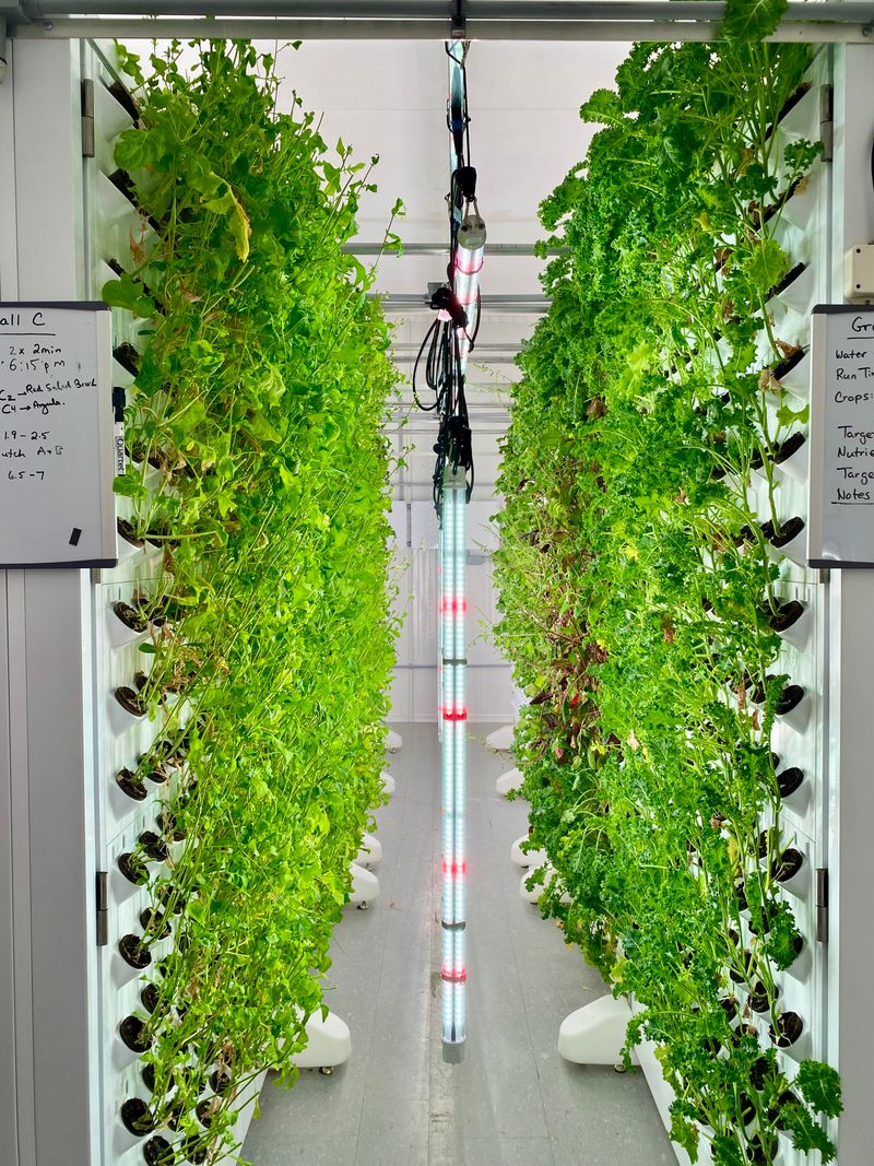 Greenhouse