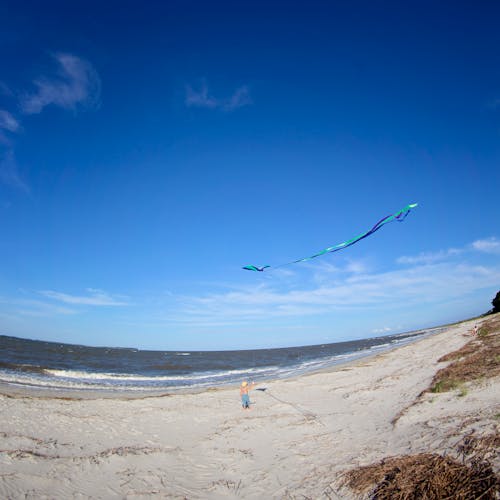 Gratis stockfoto met blauw, kind, strand