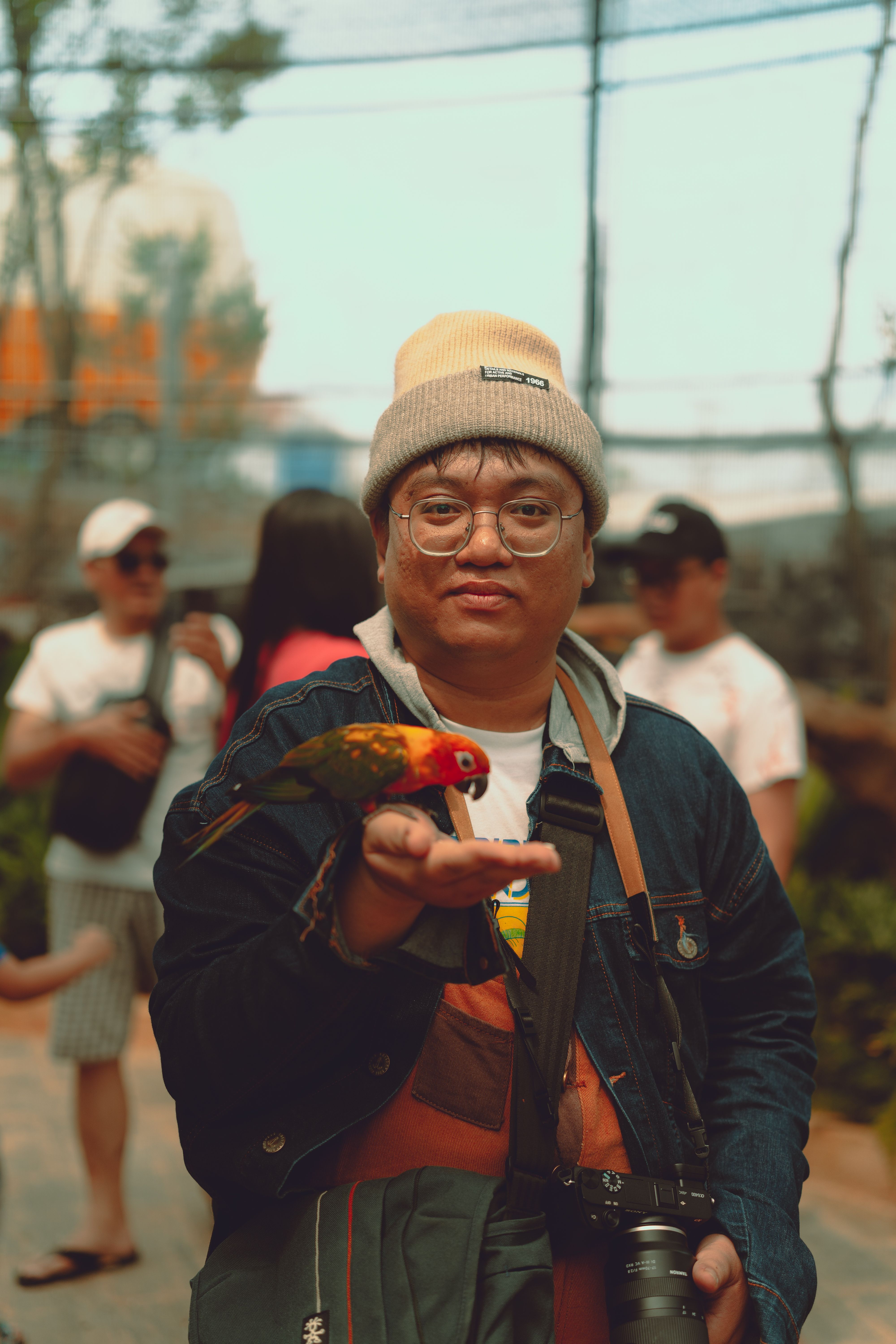 A man holding a bird in his hand · Free Stock Photo