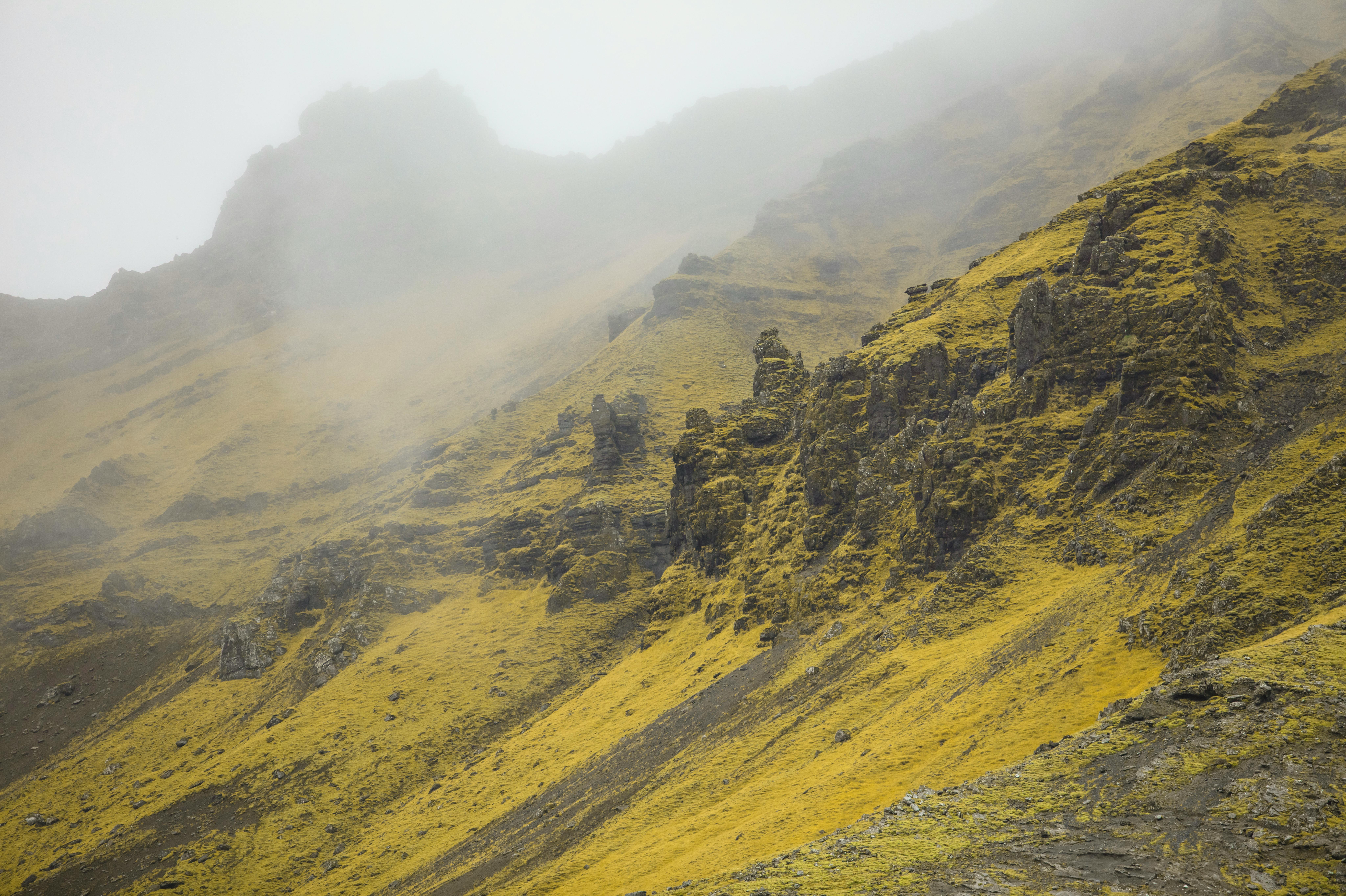 A serene mountain landscape covered in mist and vibrant yellow vegetation.