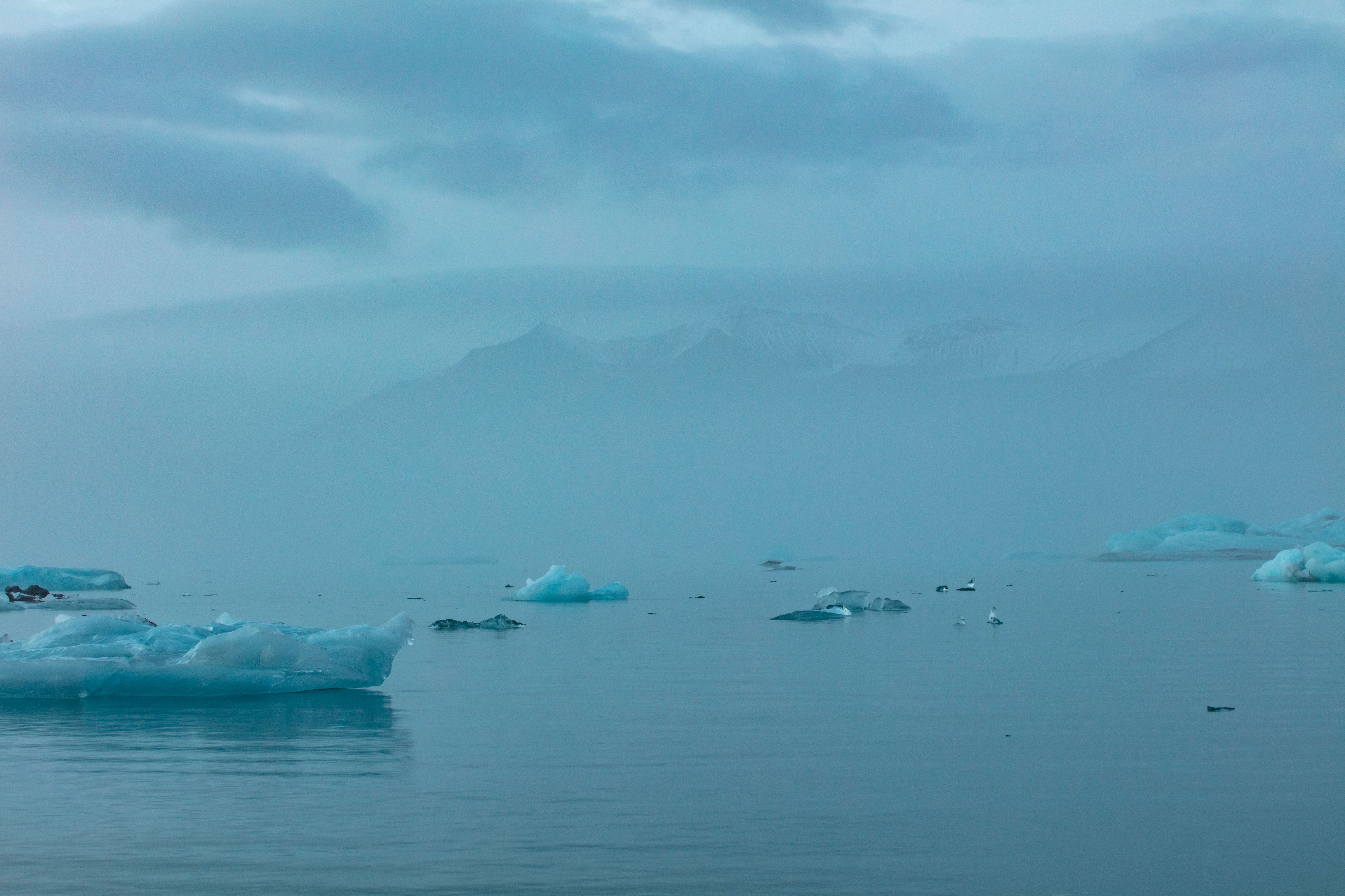 Denmark Welcomes Binding Greenland Security Deal With Trump