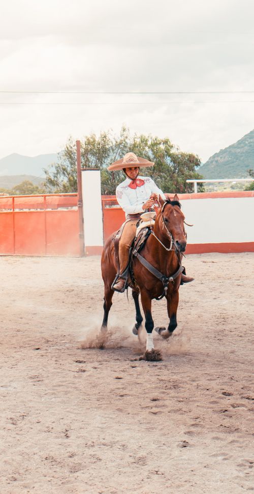 Free A skilled cowboy rides a horse during a rodeo event in an outdoor arena. Stock Photo