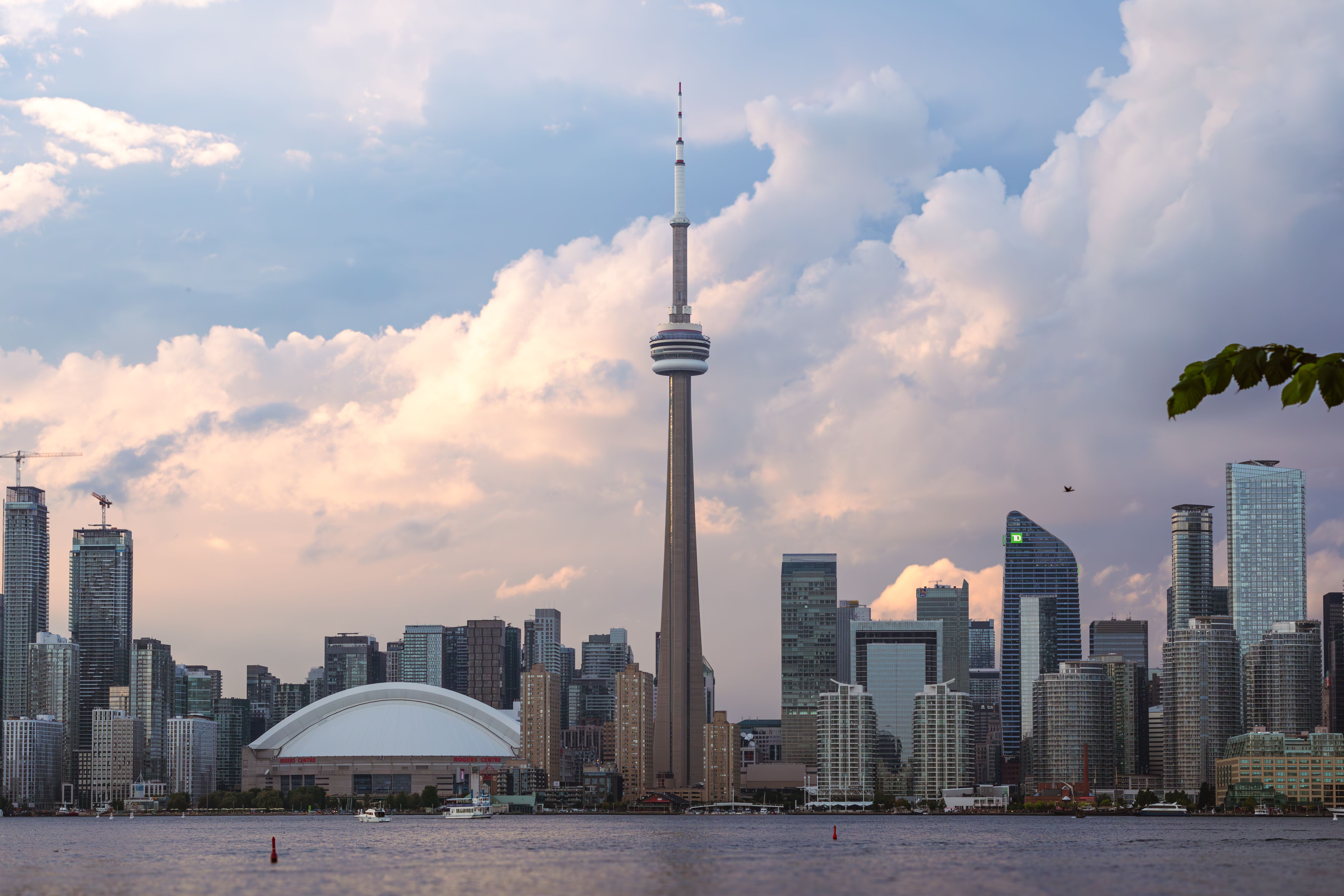 Top Attractions —